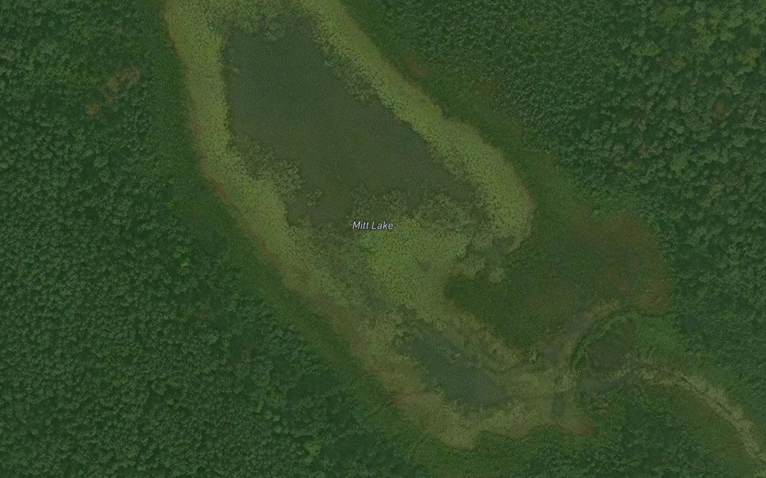 Mitt Lake