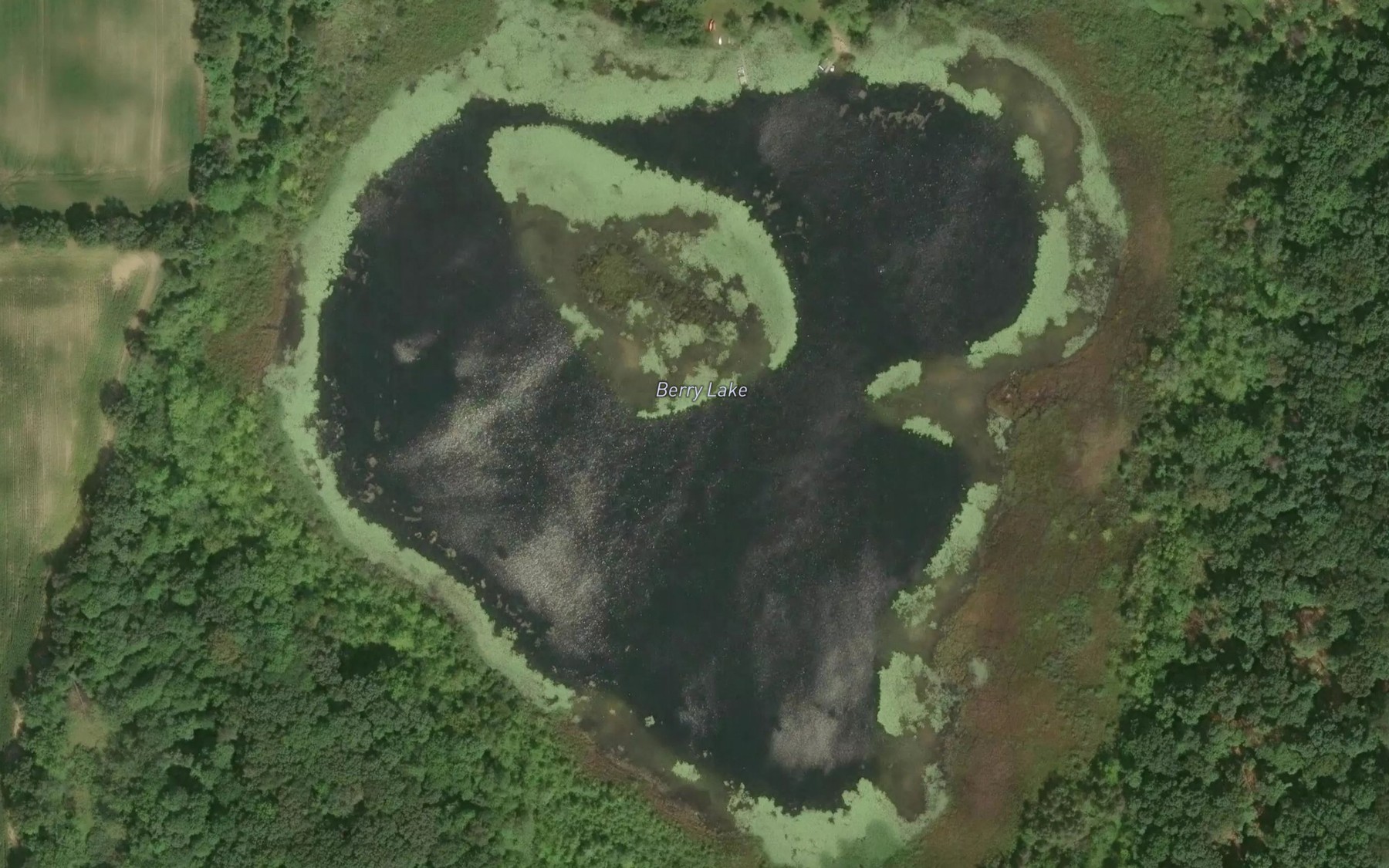Satellite map of the Berry Lake