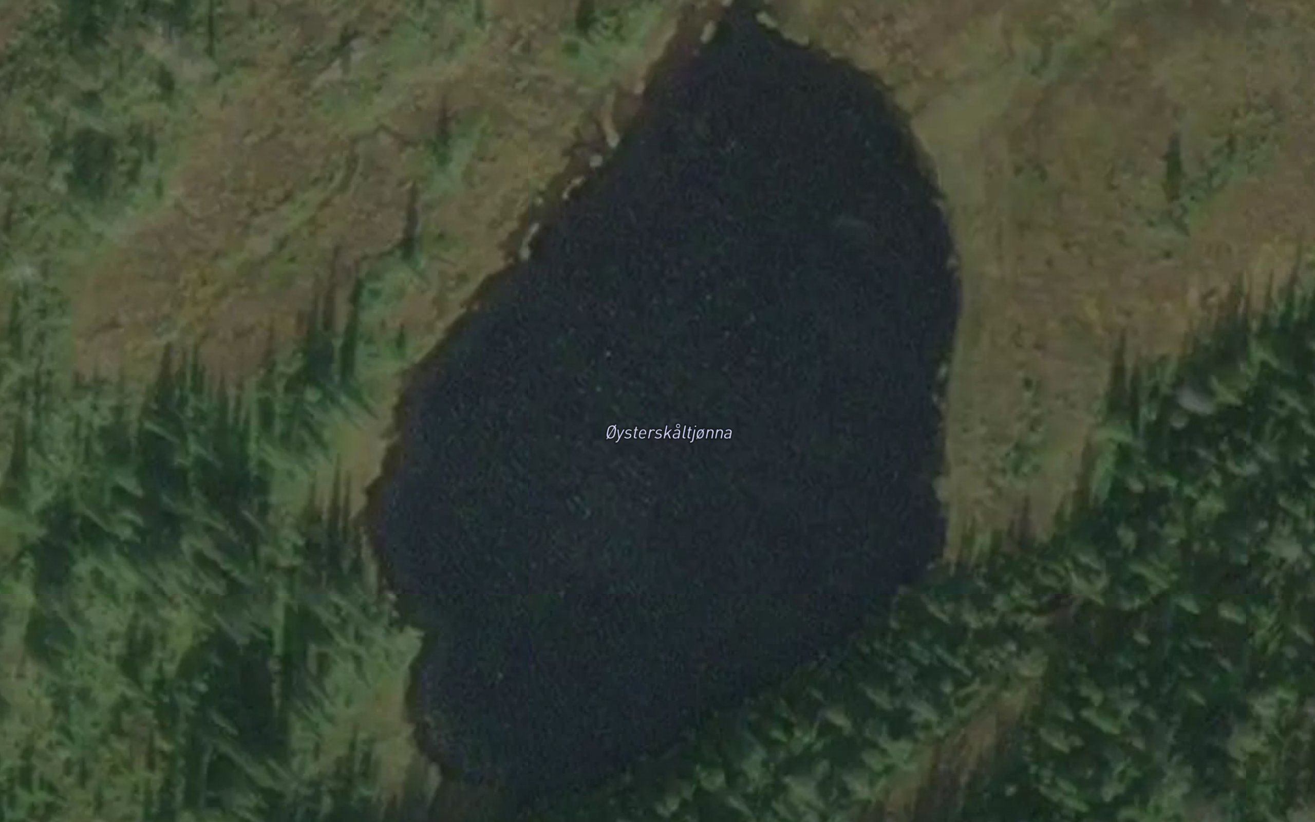 Skaltjorna,ostre