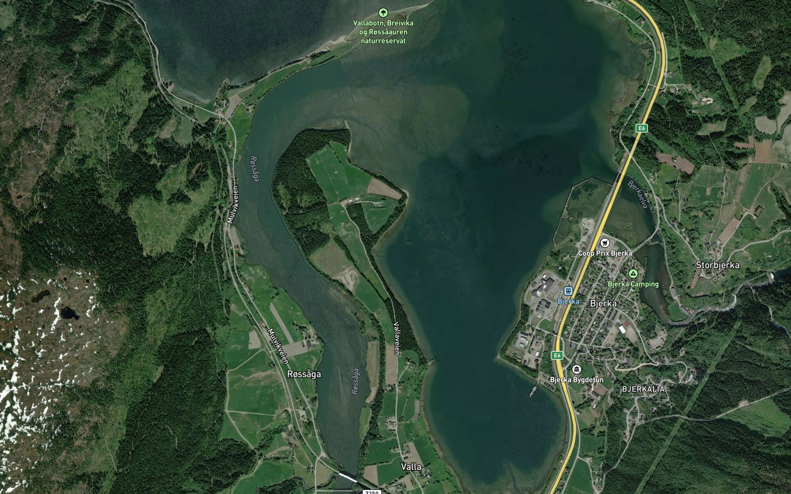 Tommervika