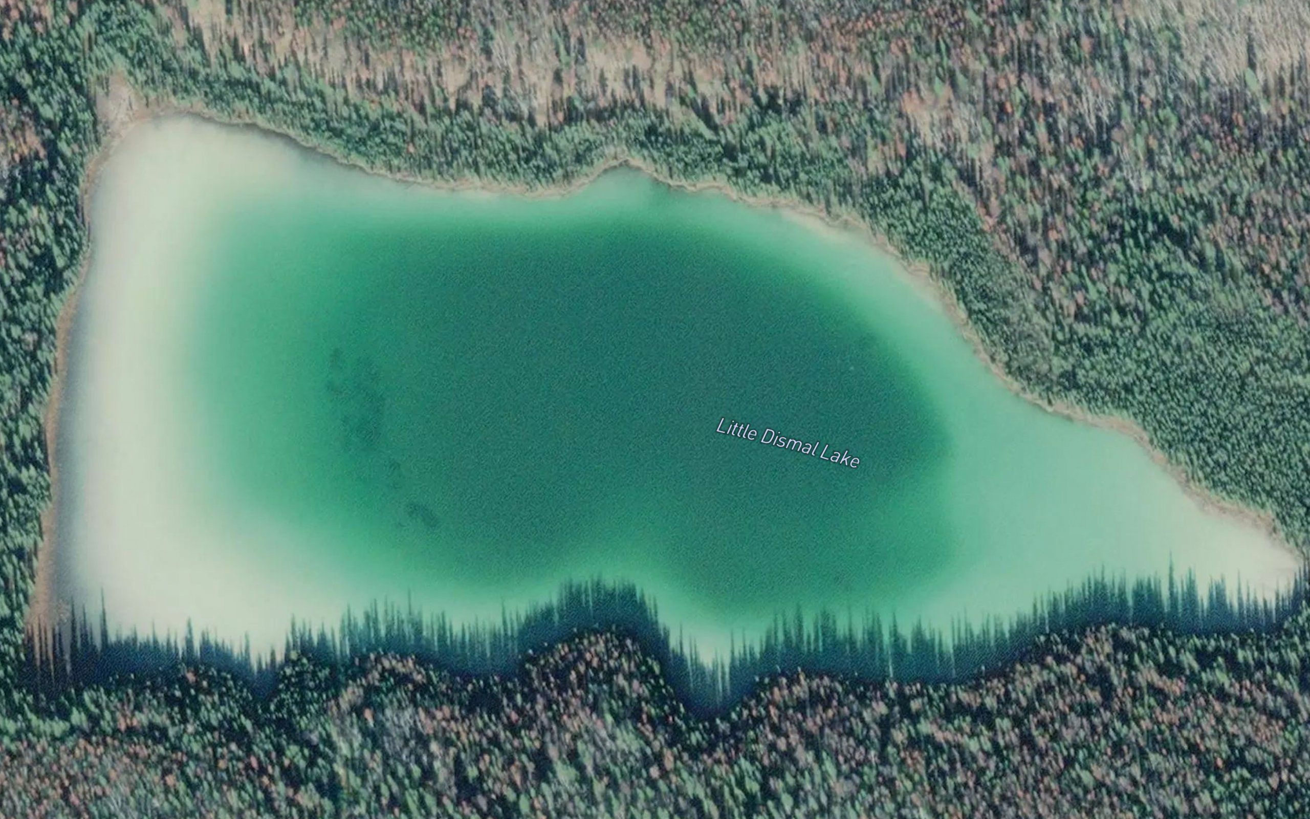 Little Dismal Lake