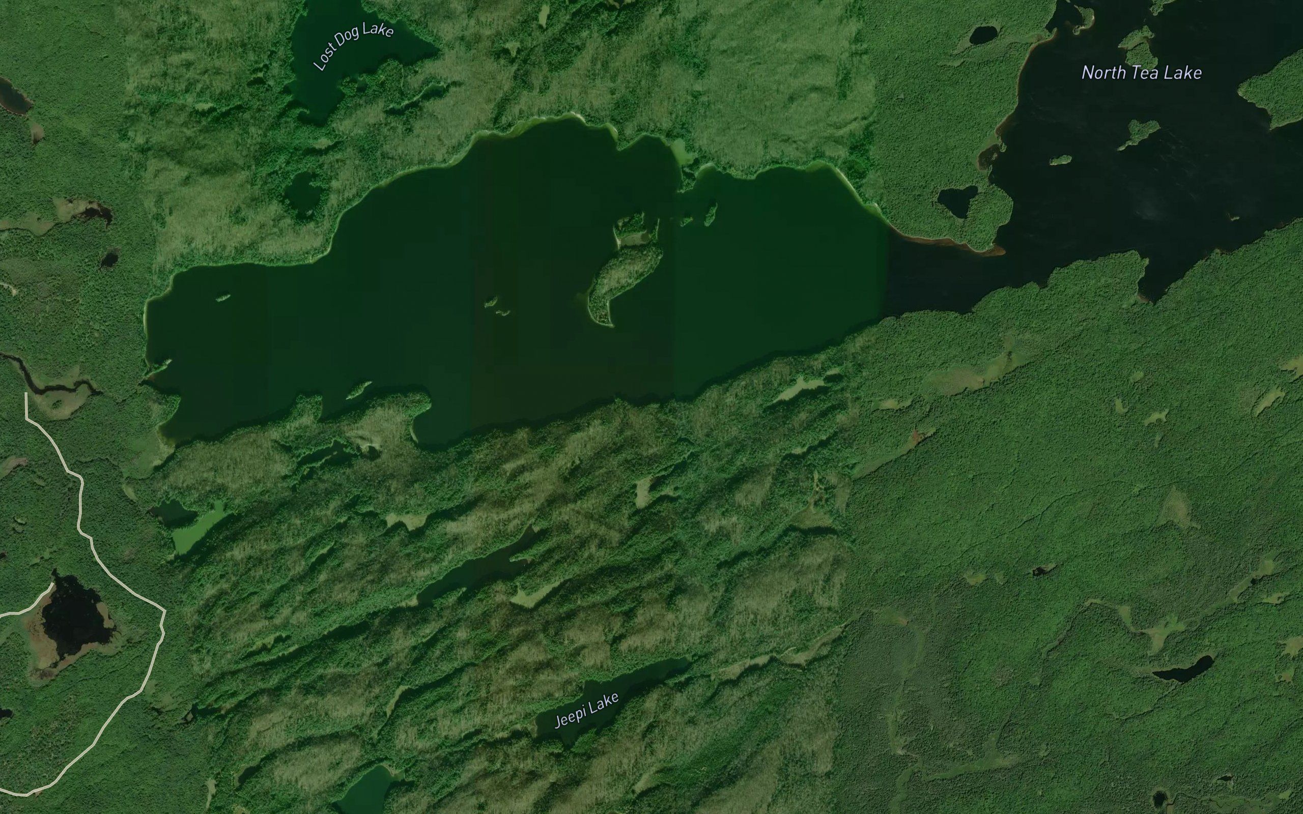 Cayuga Creek