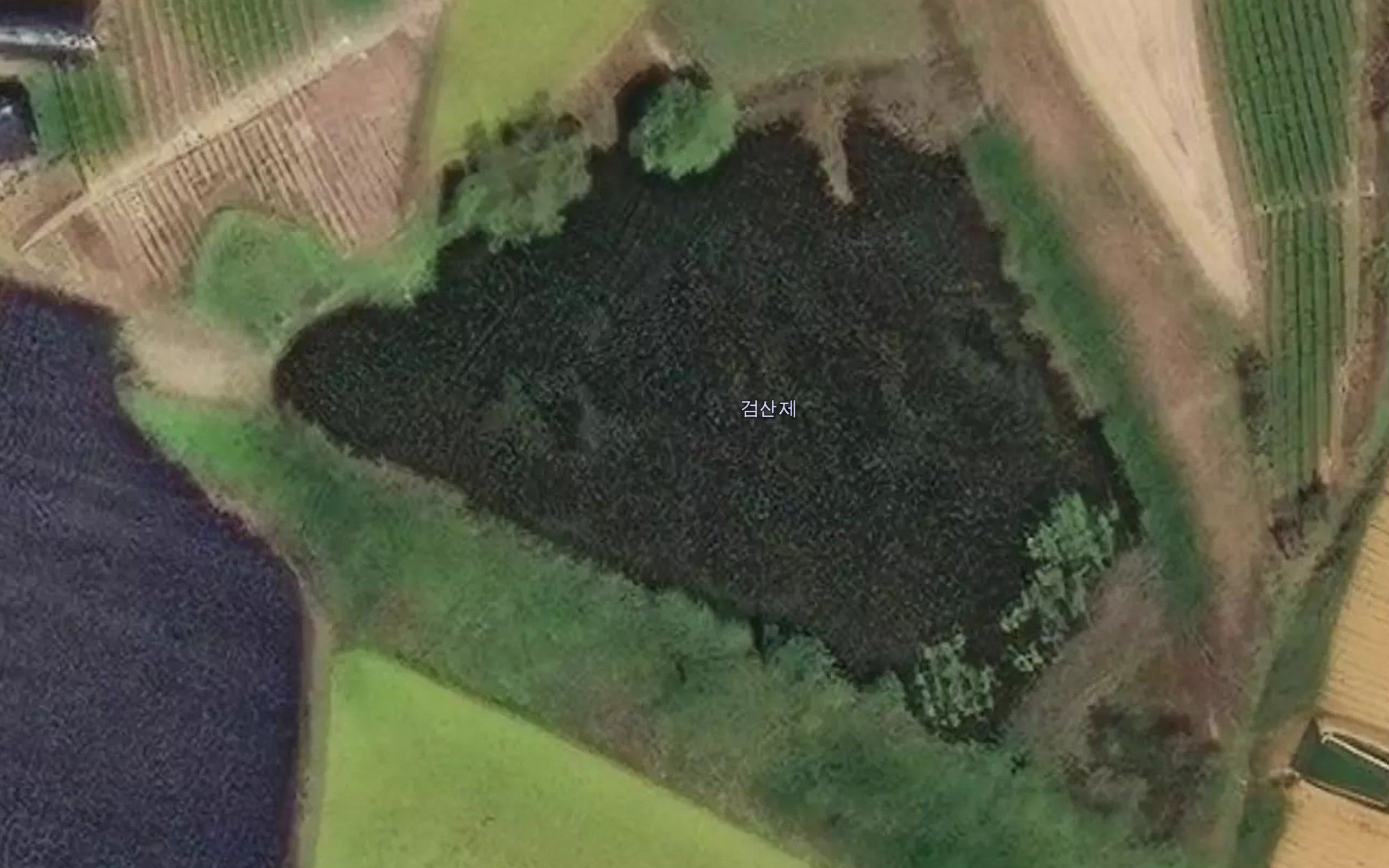Geomsanje
