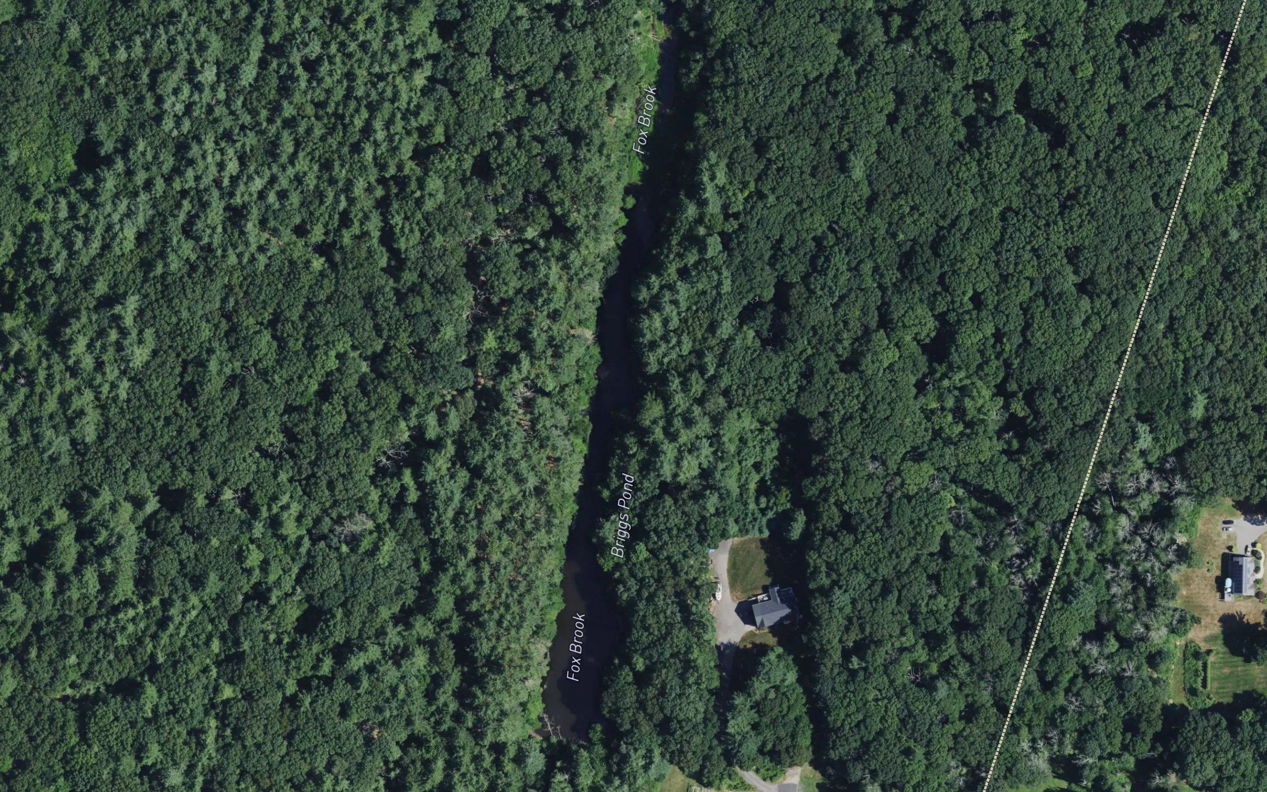 Briggs Pond