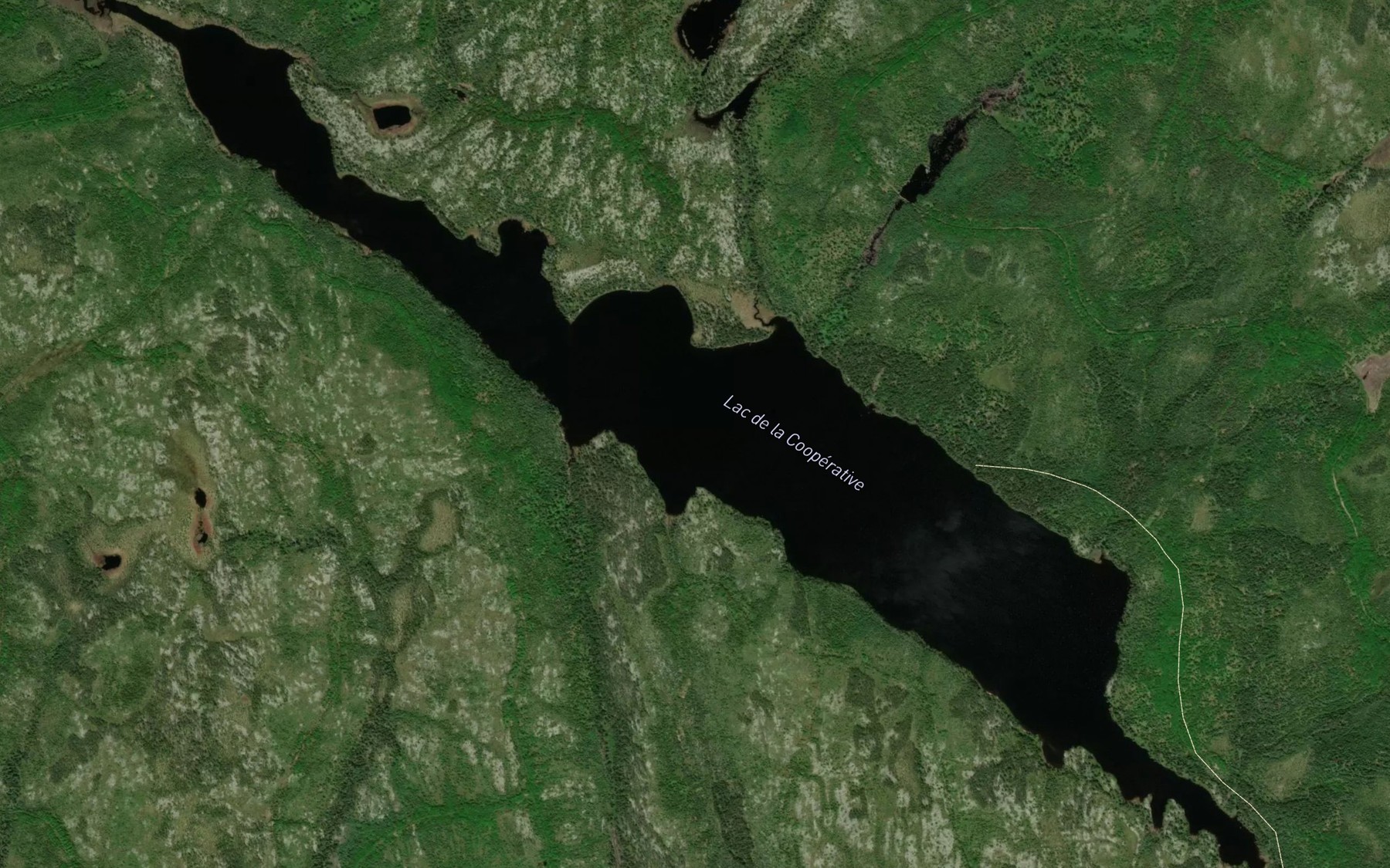 Satellite map of the Lac de la Cooperative