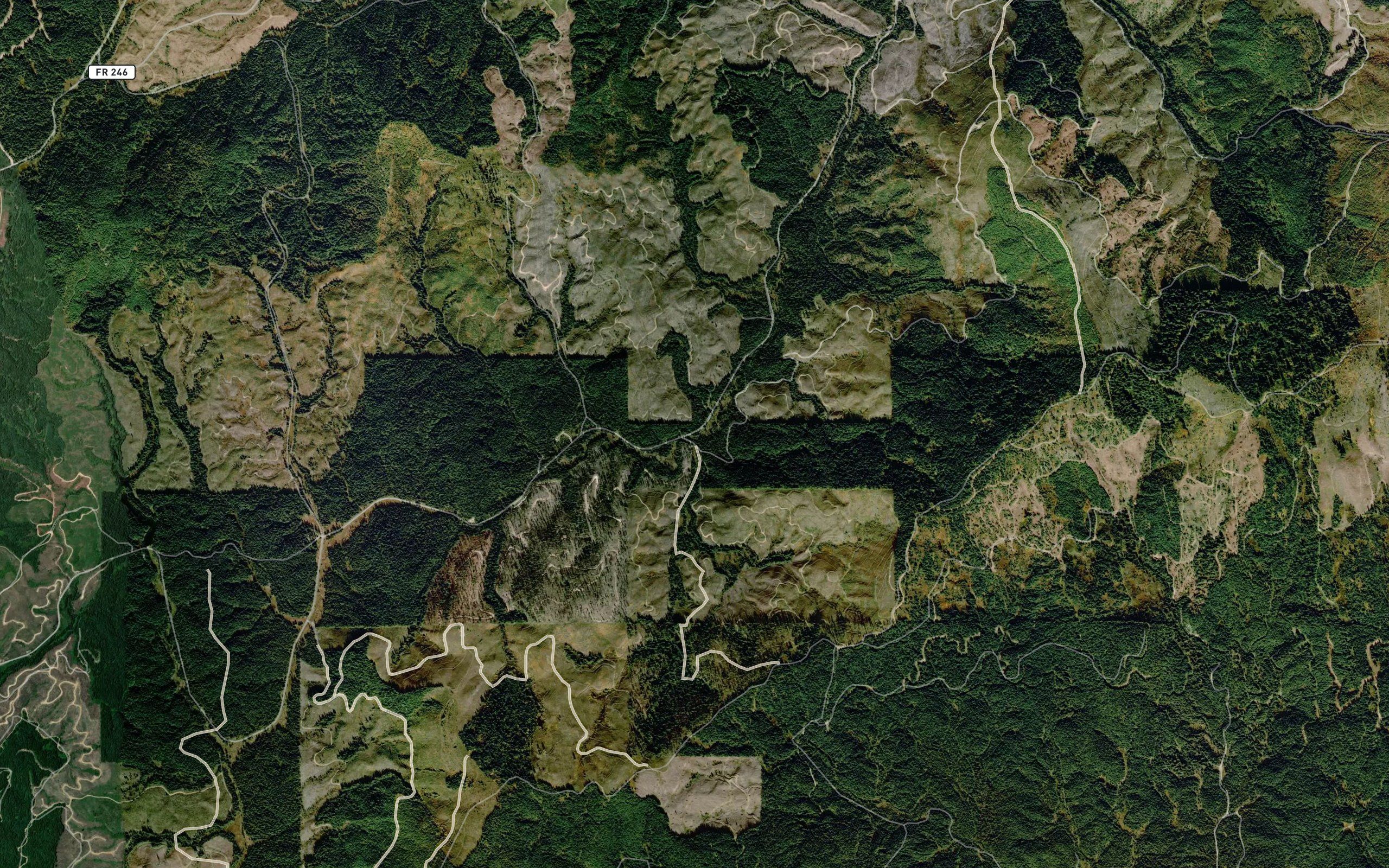 Trapper Creek