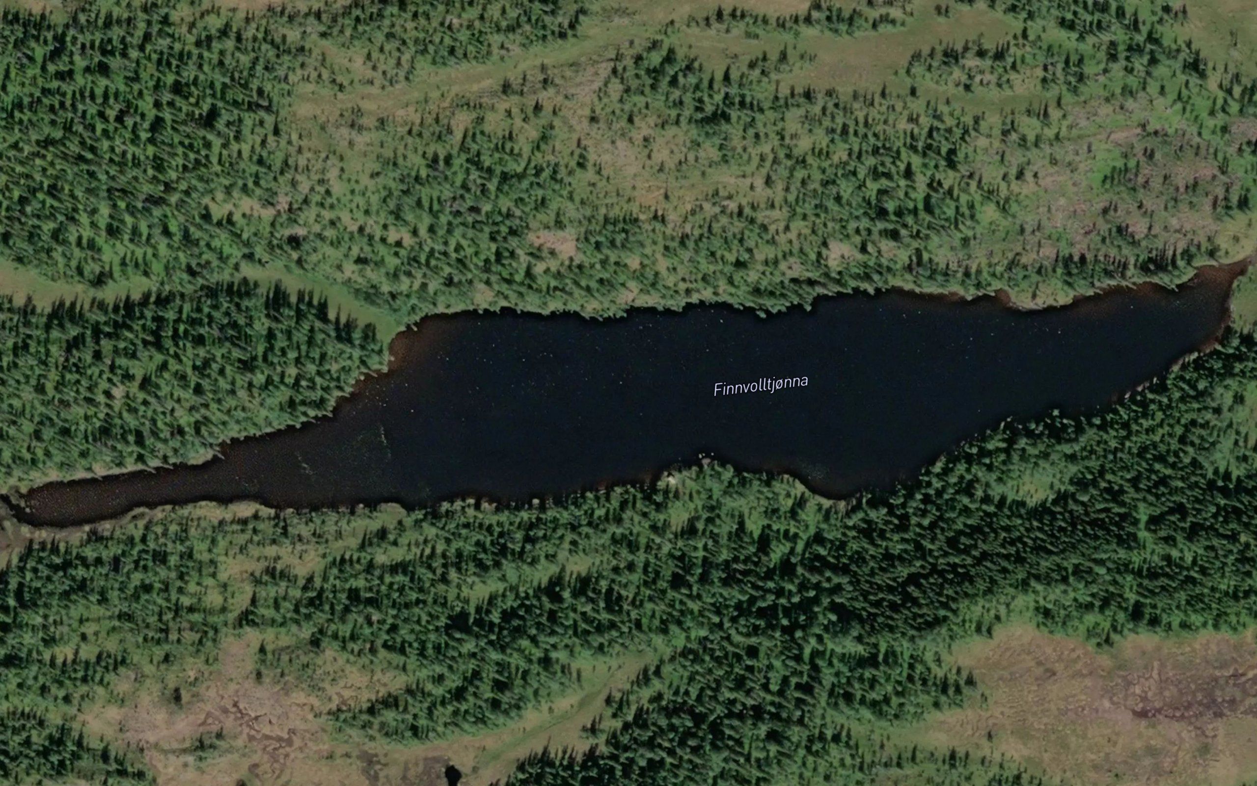 Finnvolltjorna