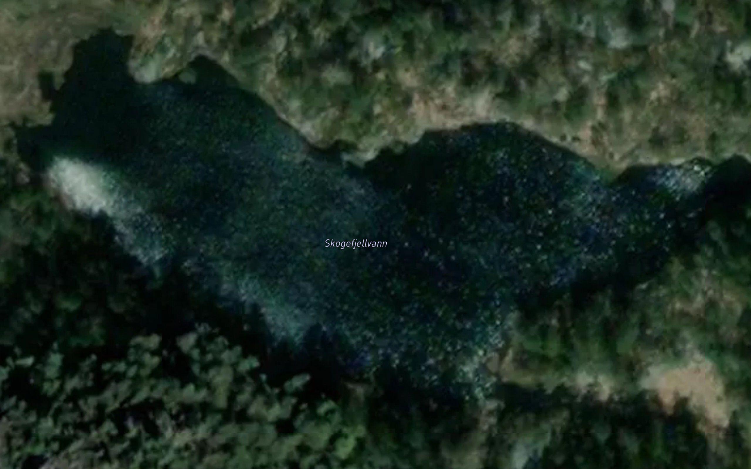 Skogefjellvann