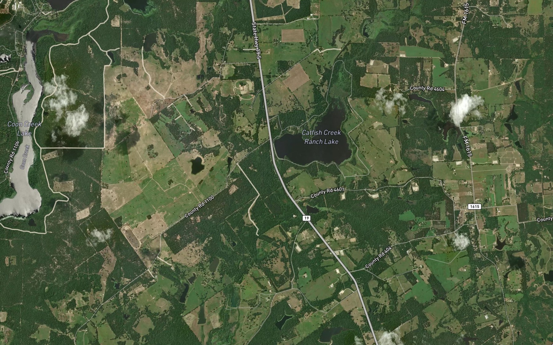 Satellite map of the Pickle Branch