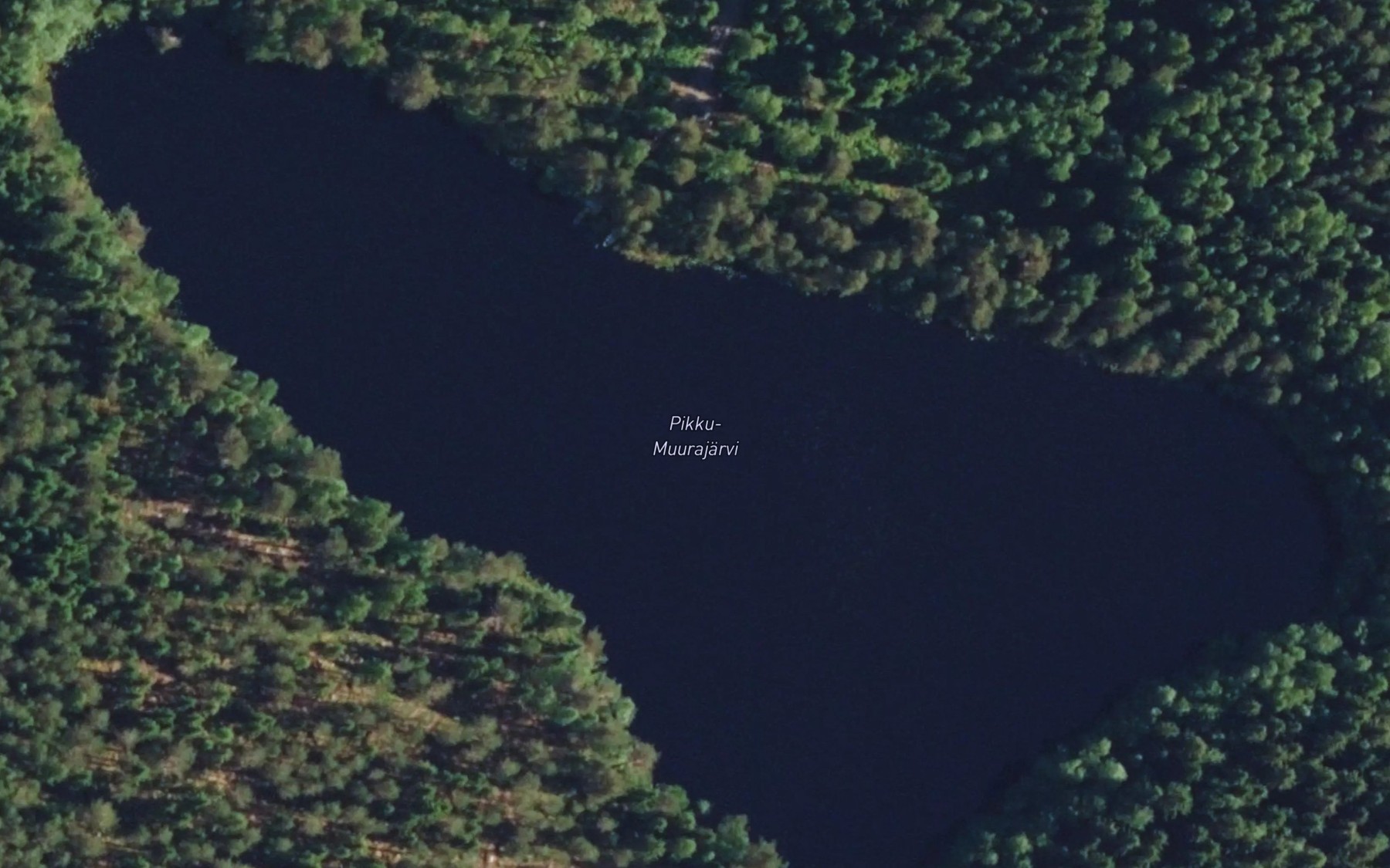 Satellite map of the Pikku Muurajarvi