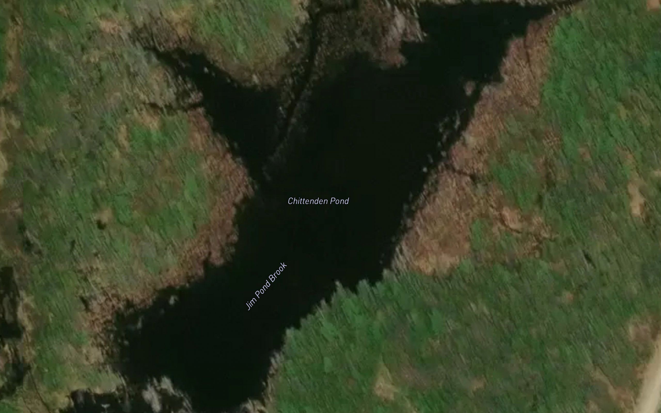 Chittenden Pond