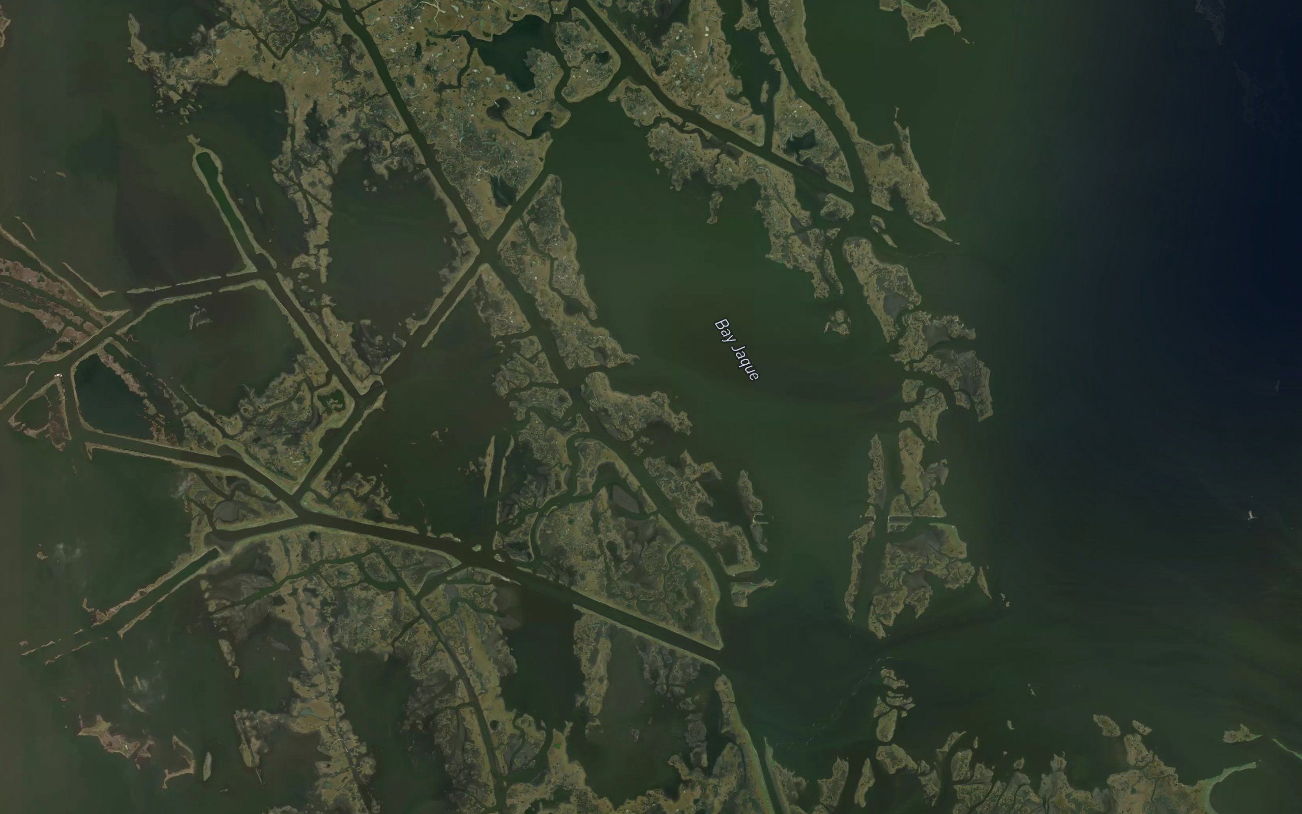 Bay Jaque