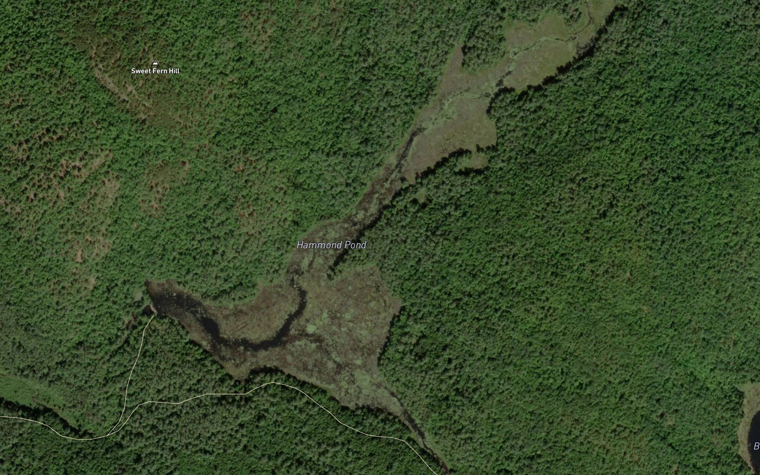 Hammond Pond
