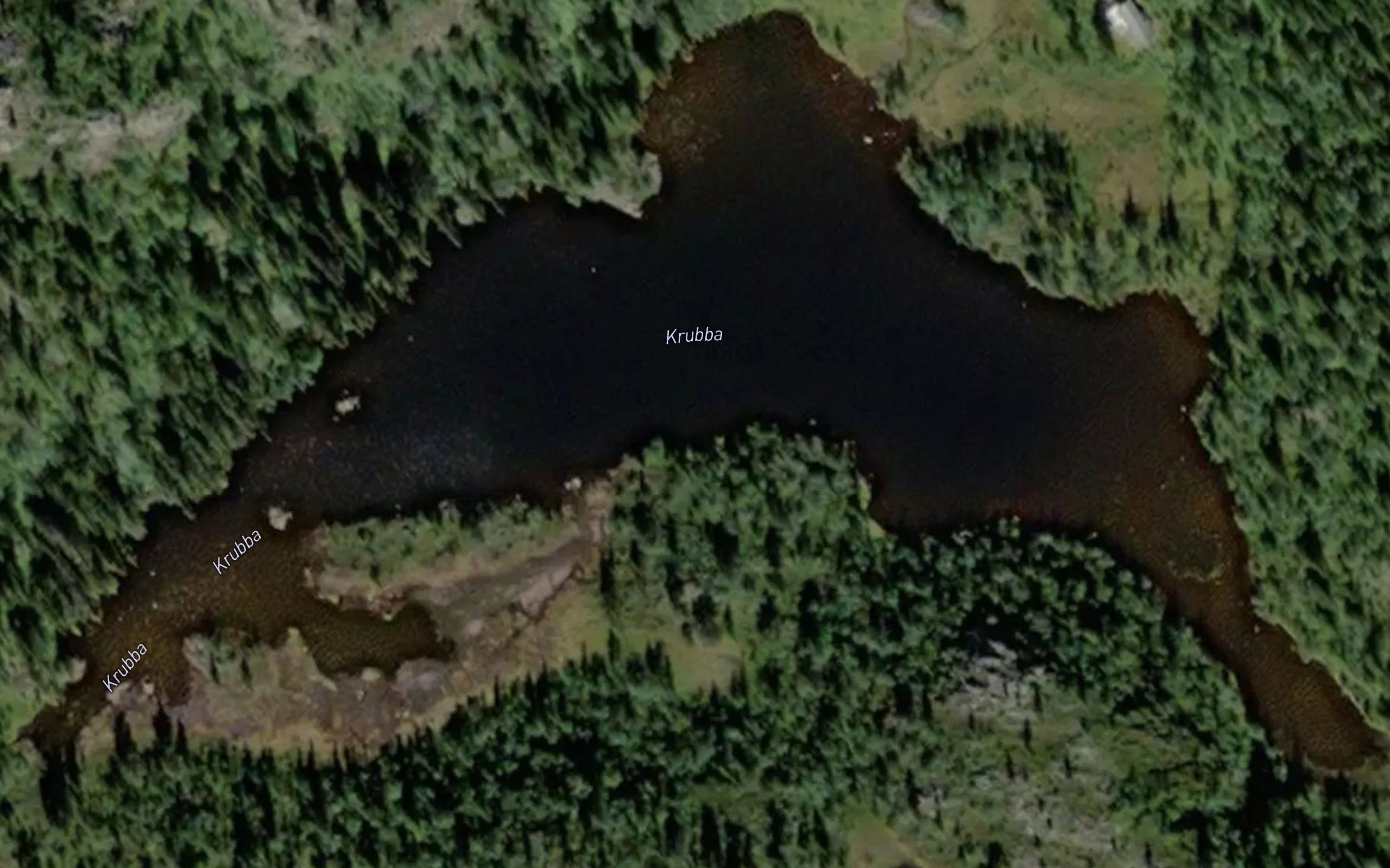 Krubba