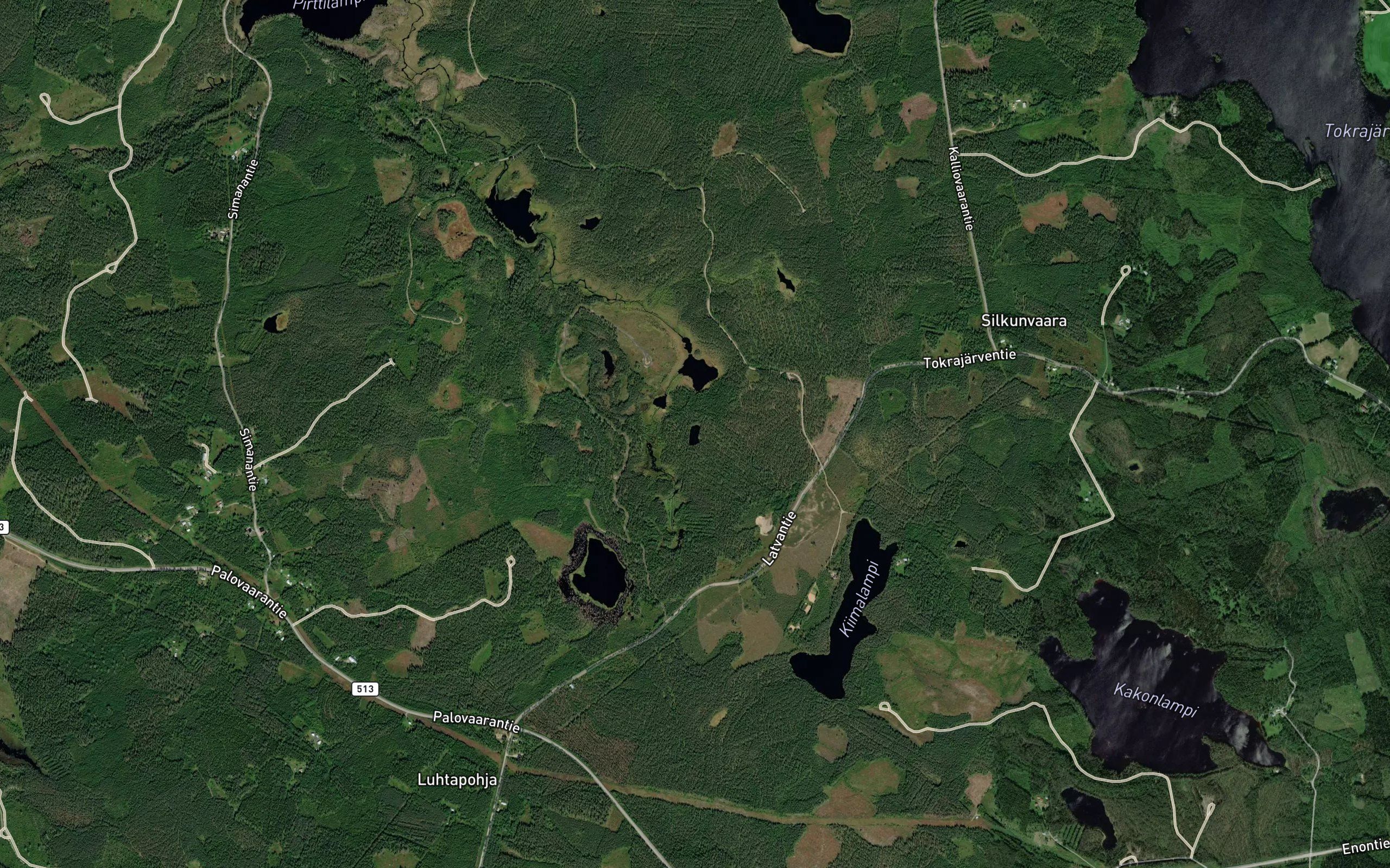 Kortelampi