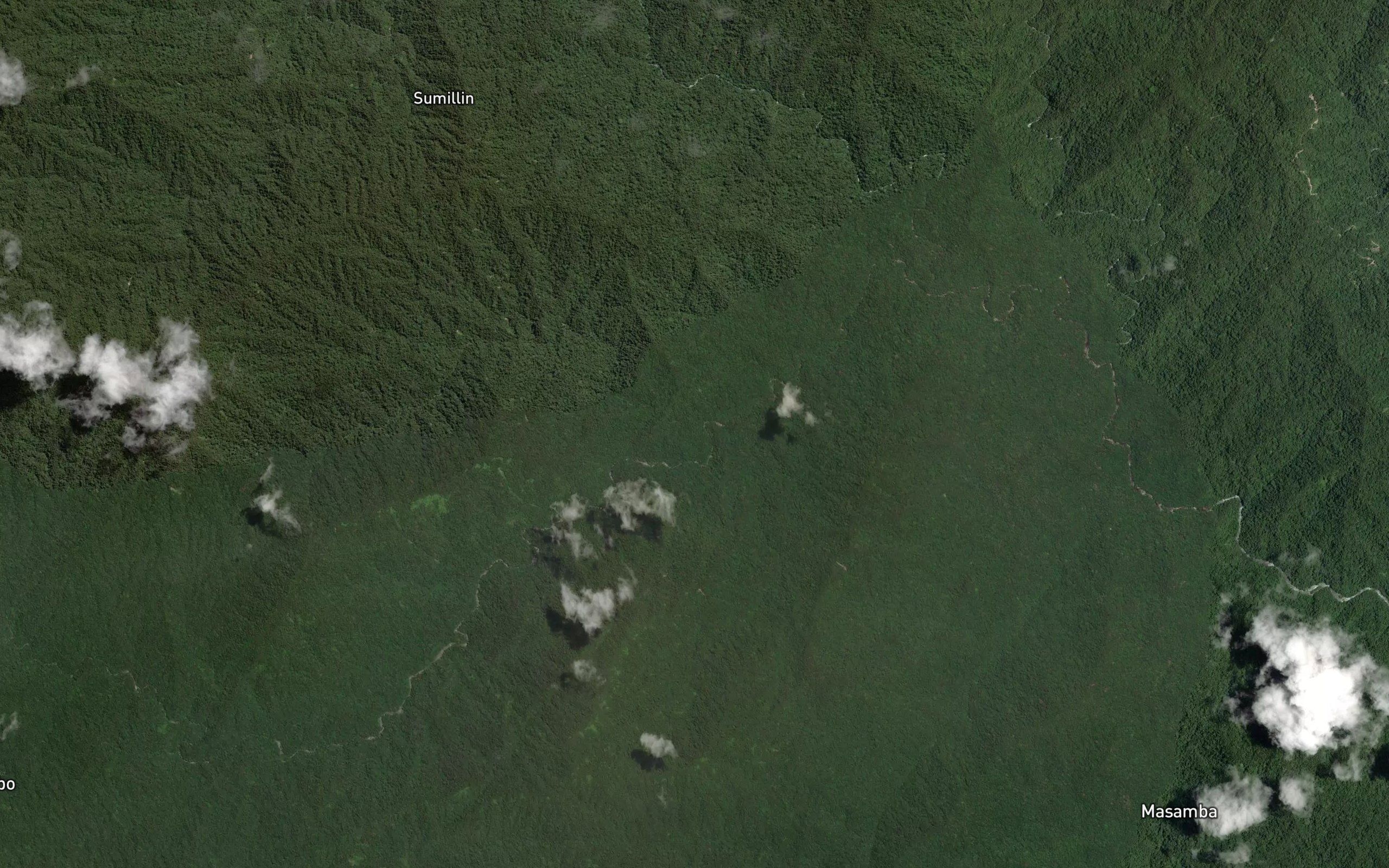 Salu Damoro