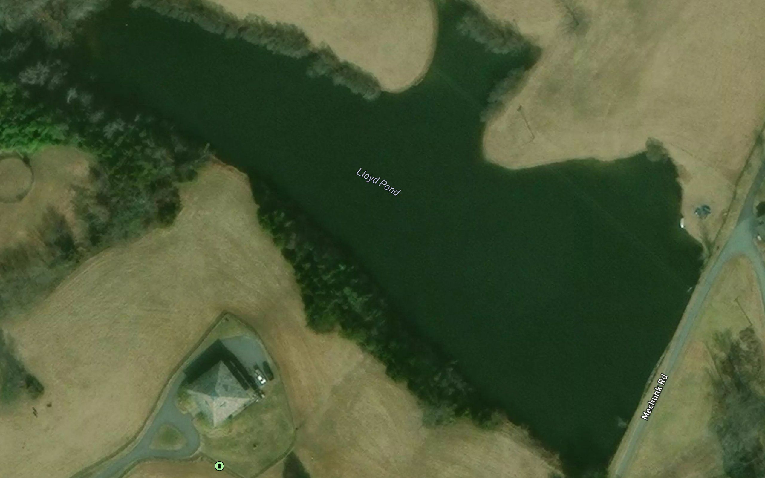 Lloyd Pond