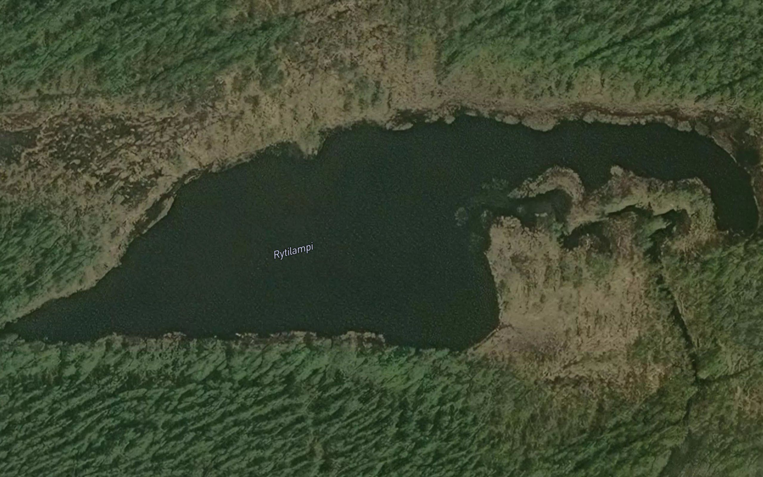 Rytilampi
