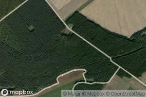 Niederer Salischteich