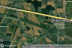 Distributary Number Three