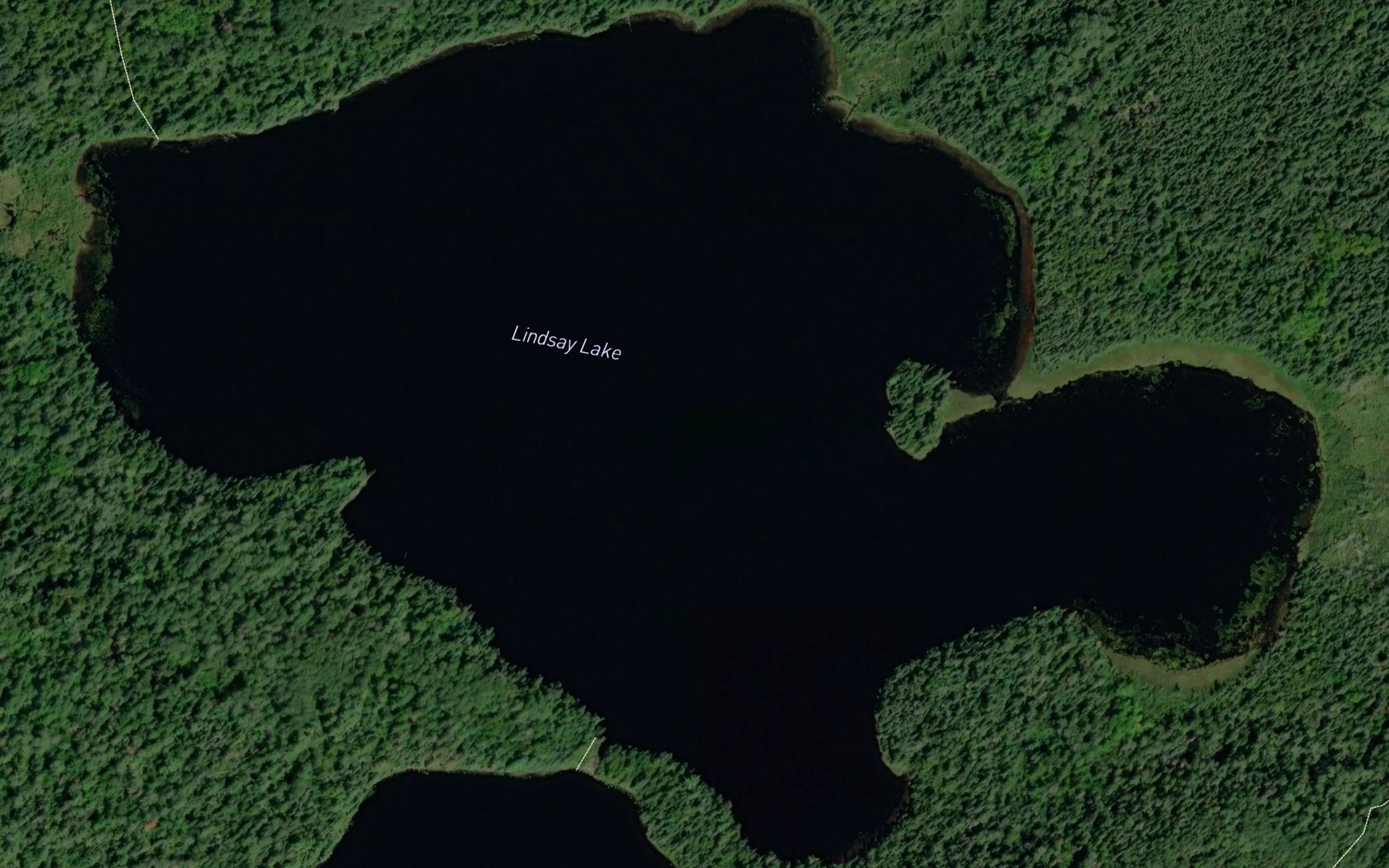 Satellite map of the Lindsay Lake