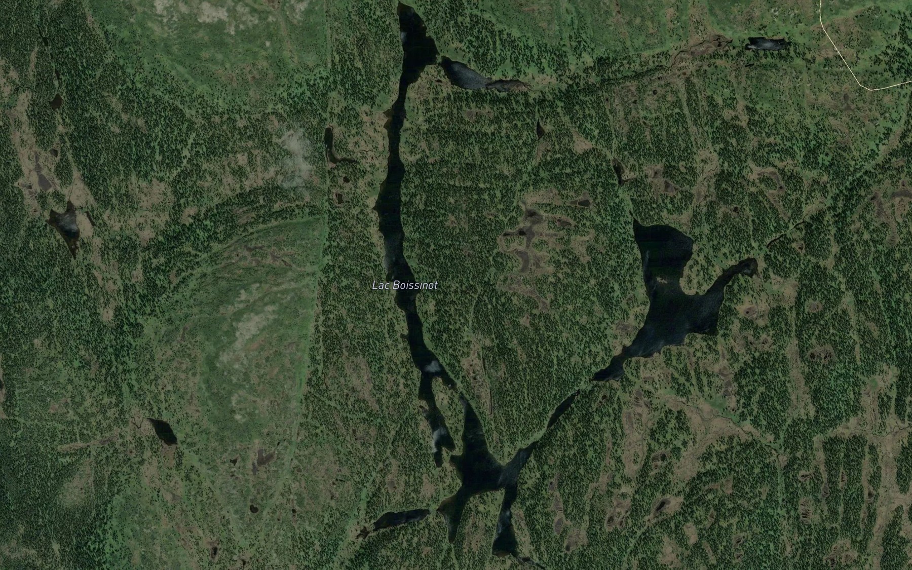 Satellite map of the Lac Boissinot