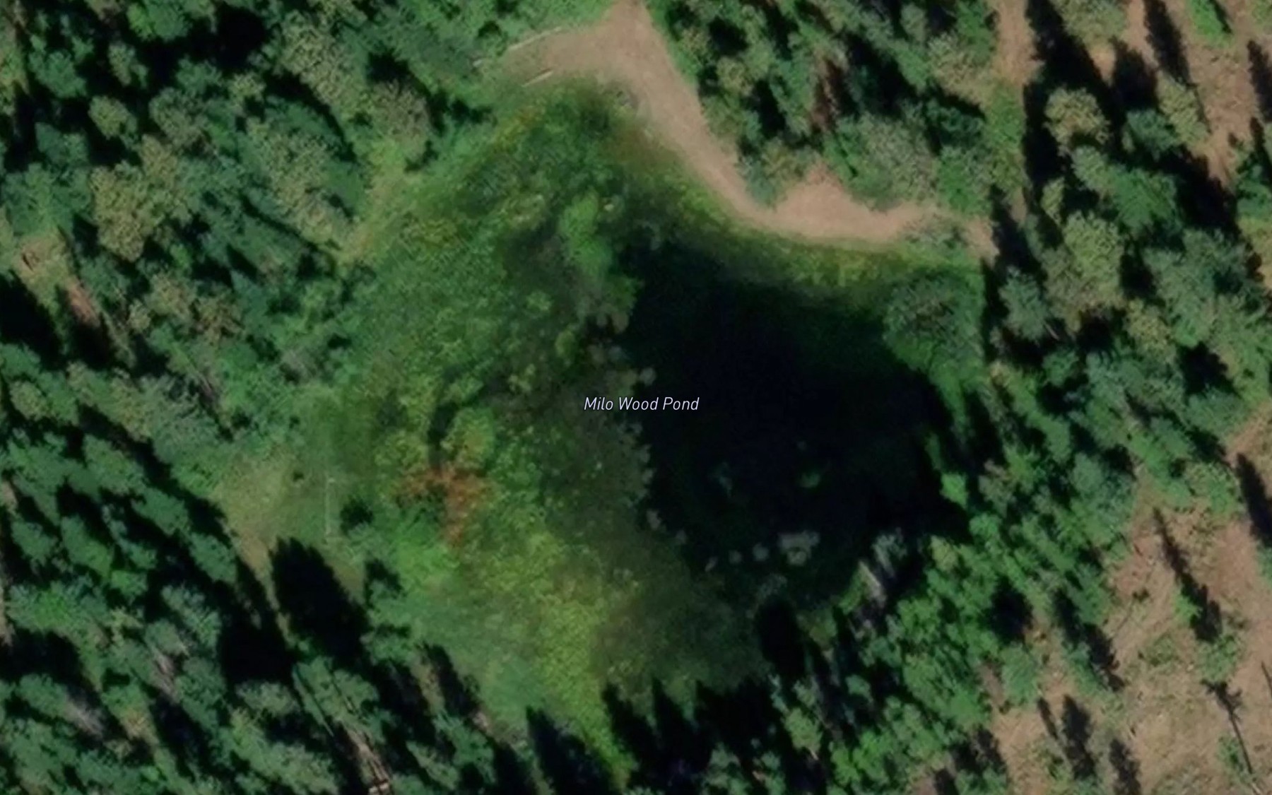 Satellite map of the Milo Wood Pond