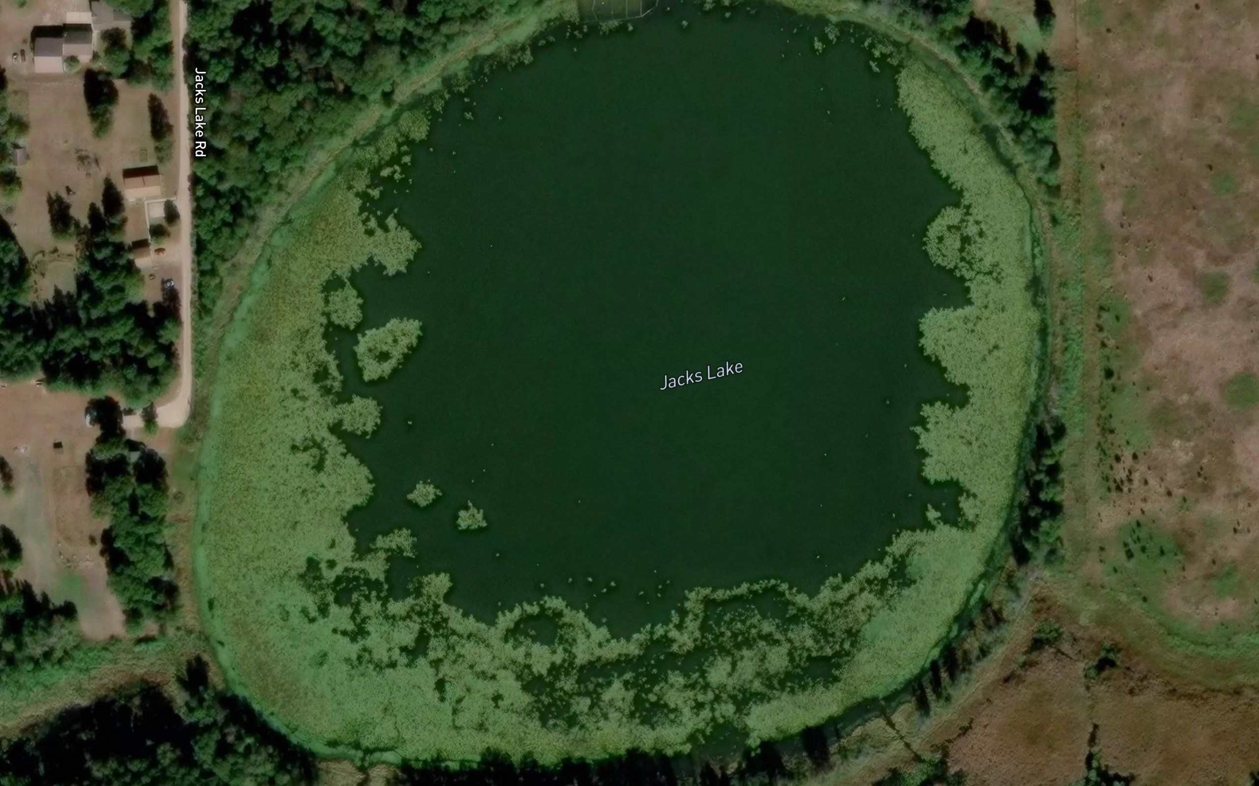Jacks Lake