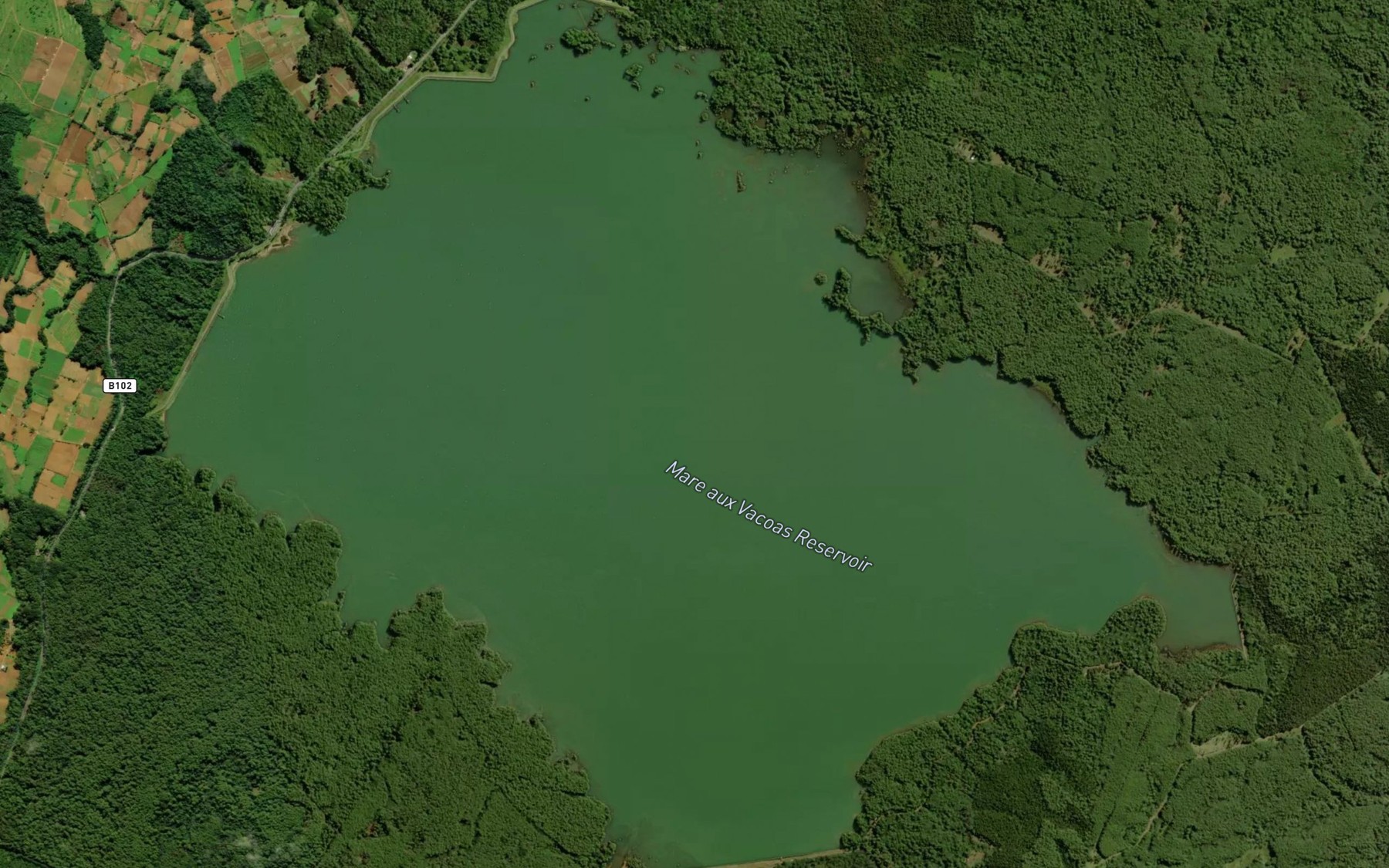 Satellite map of the Mare aux Vacoas