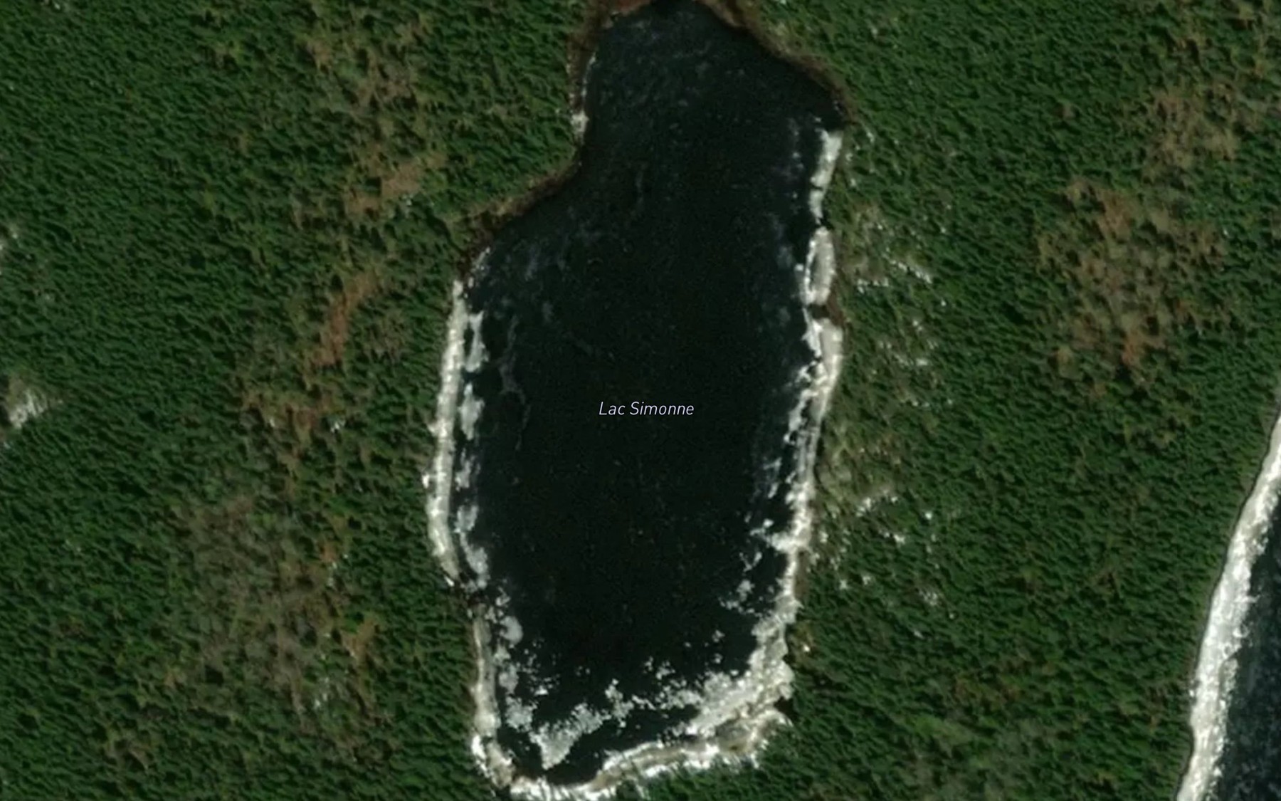 Satellite map of the Lac Simonne