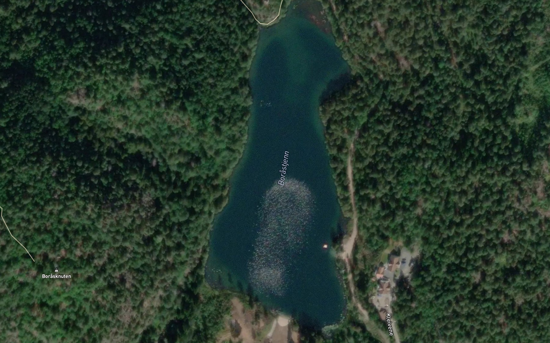 Satellite map of the Borrastjern