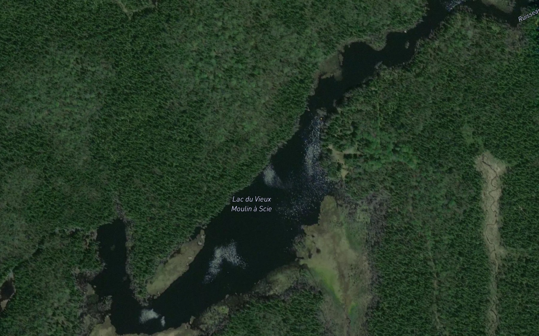 Satellite map of the Lac du Vieux Moulin a Scie