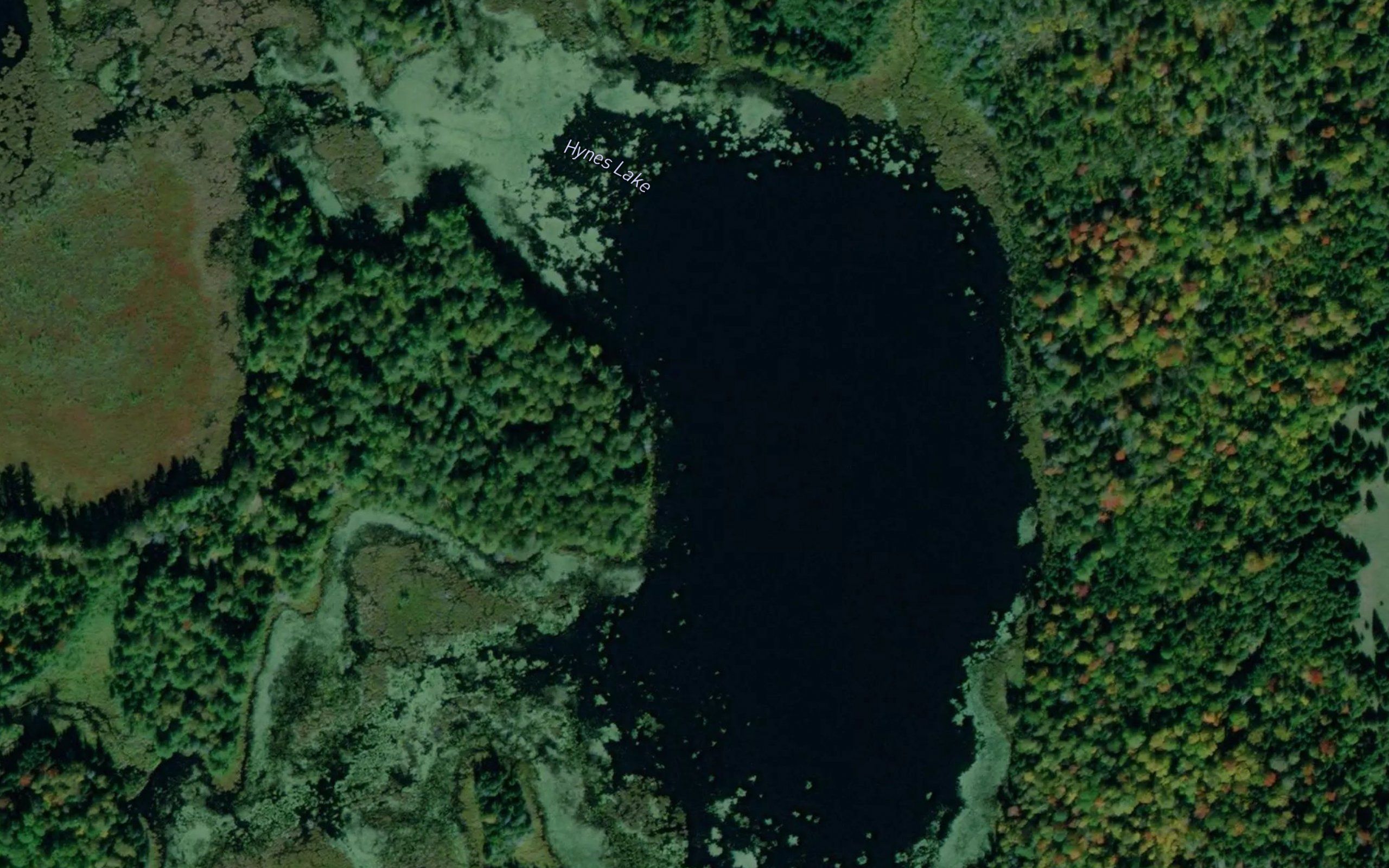 Hynes Lake