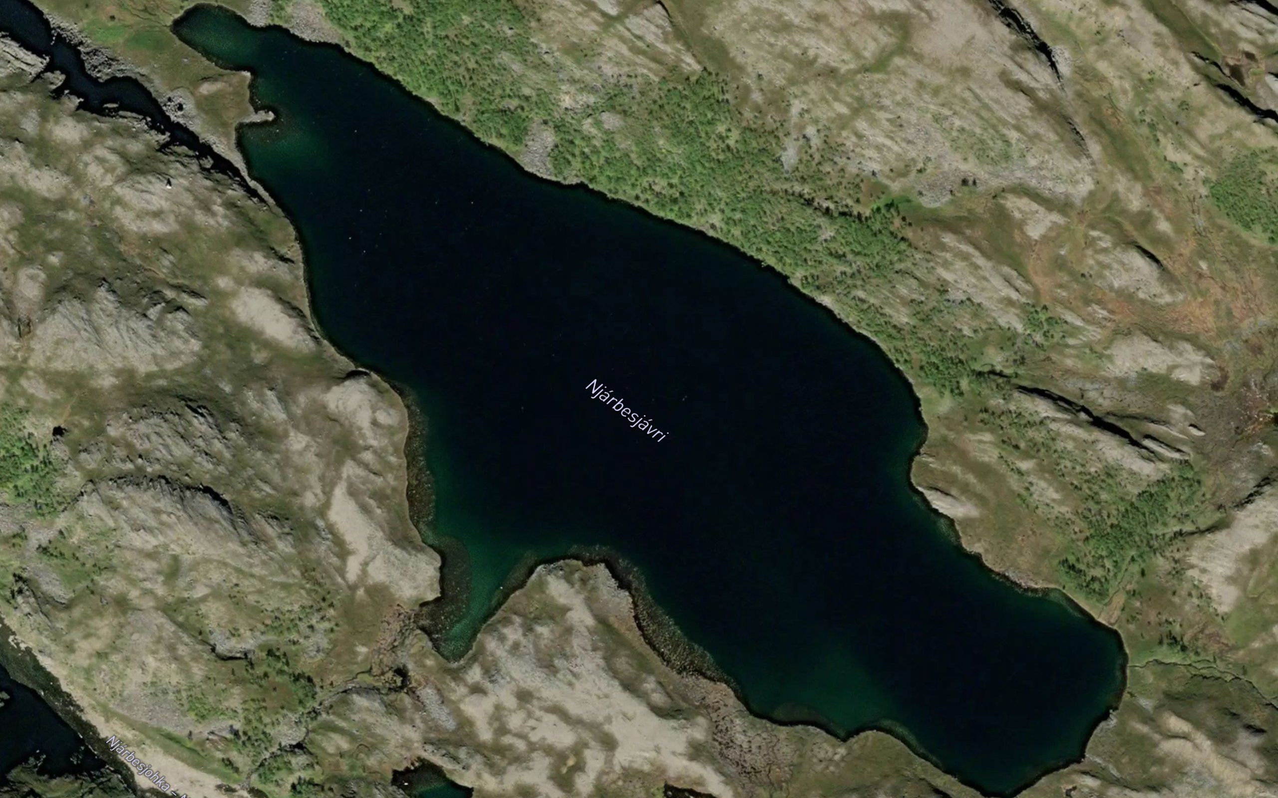 Njarbesjavri