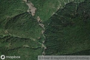 North Fork Canyon Creek