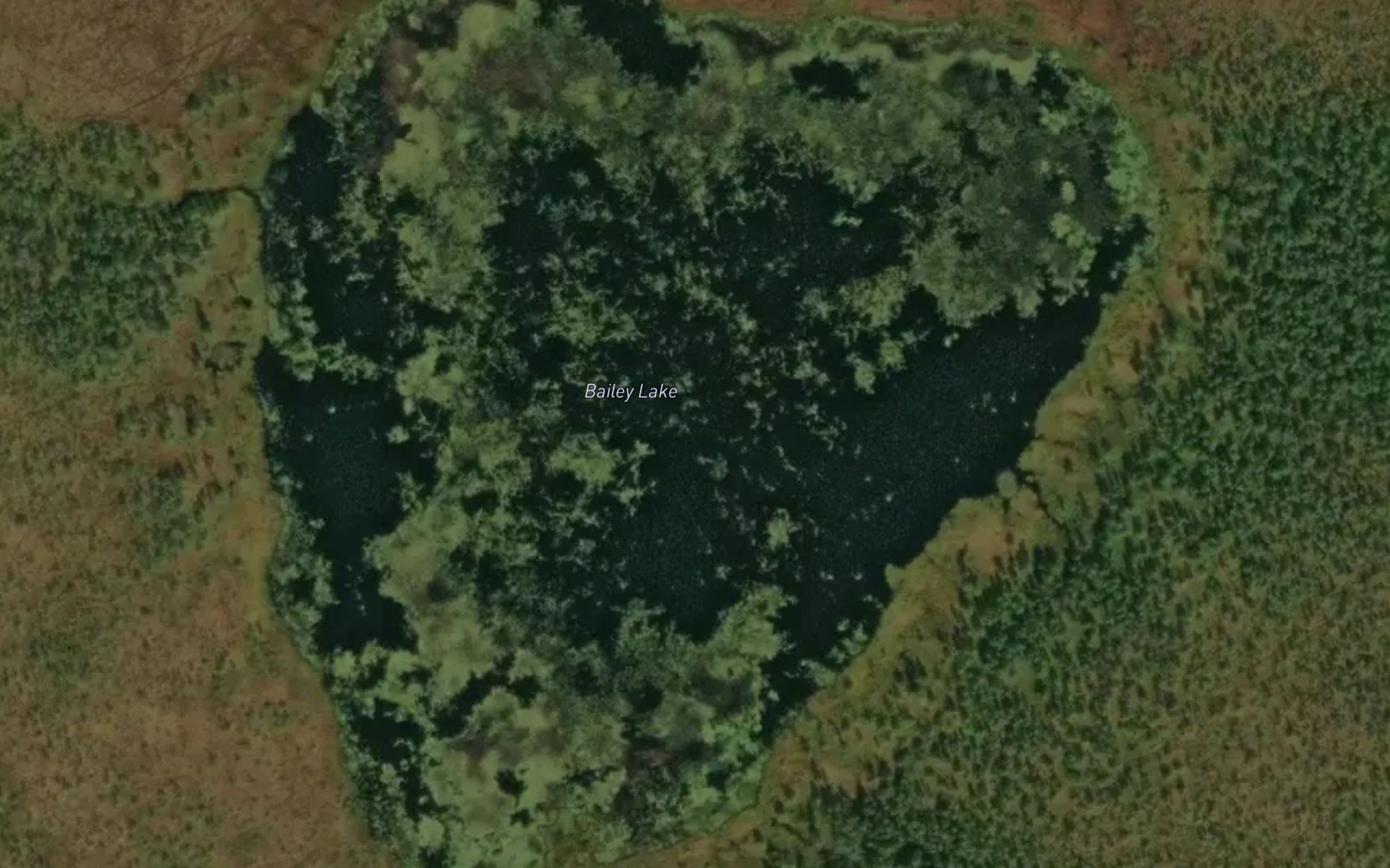 Bailey Lake