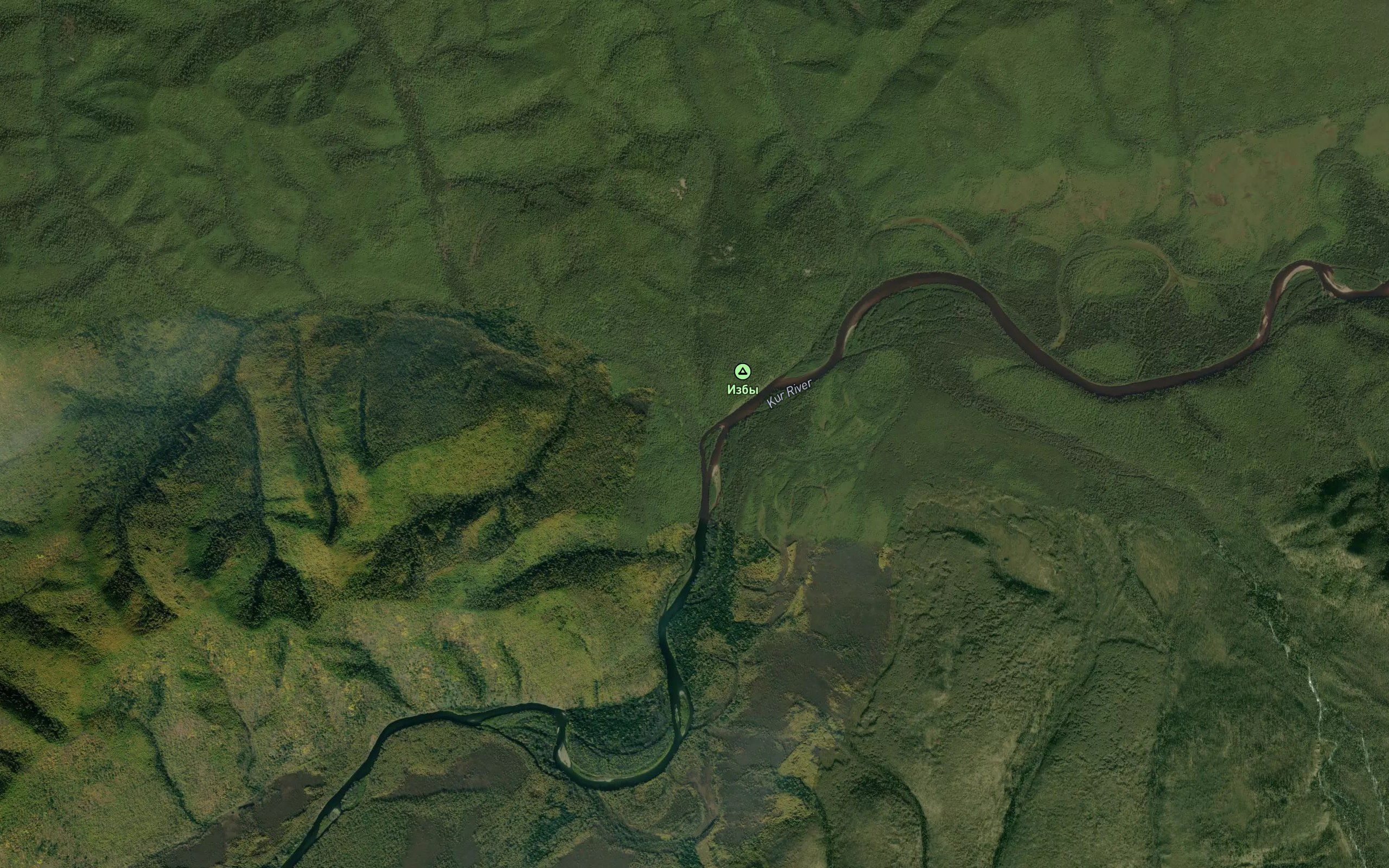 Rogach