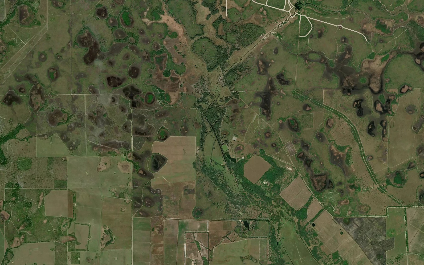 Satellite map of the Cow Slough