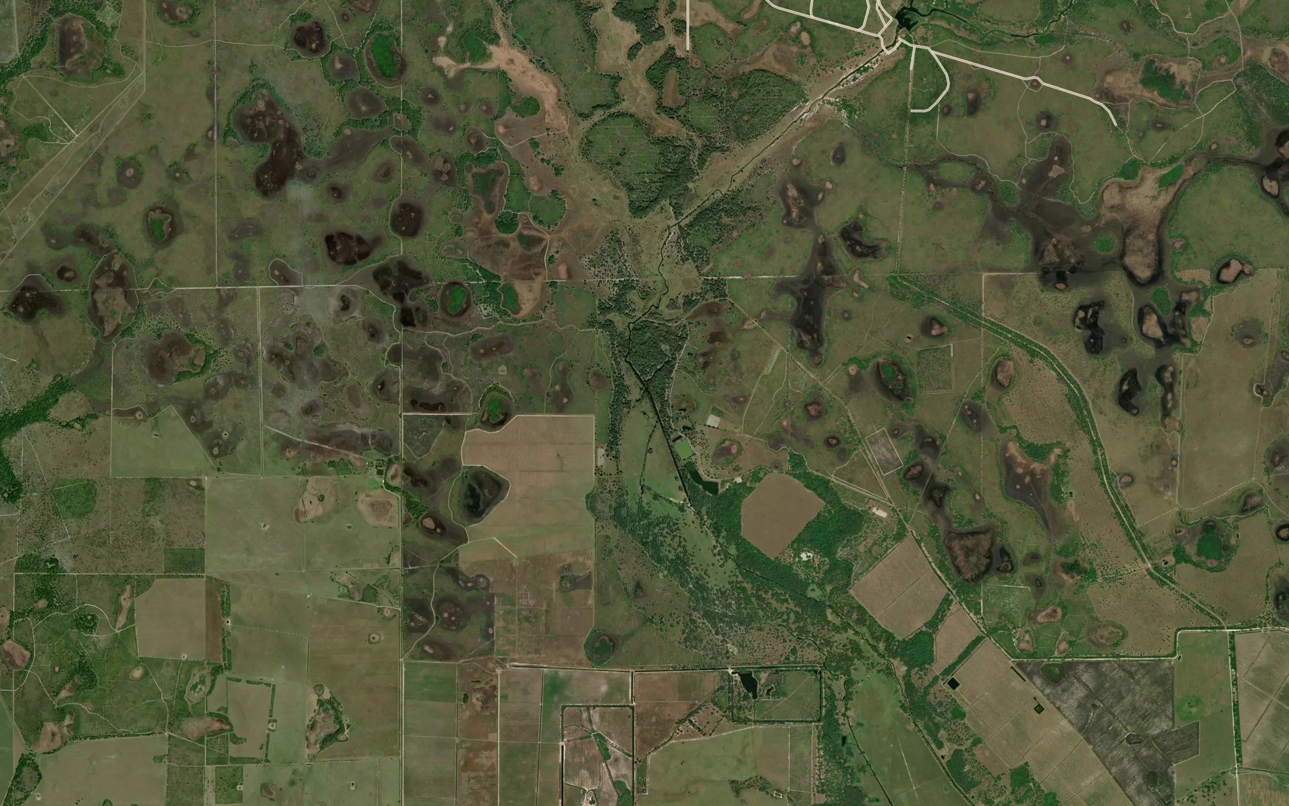 Cow Slough