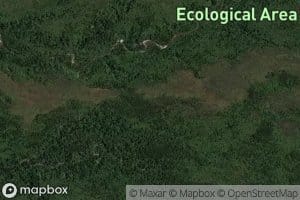 Sandfly Creek