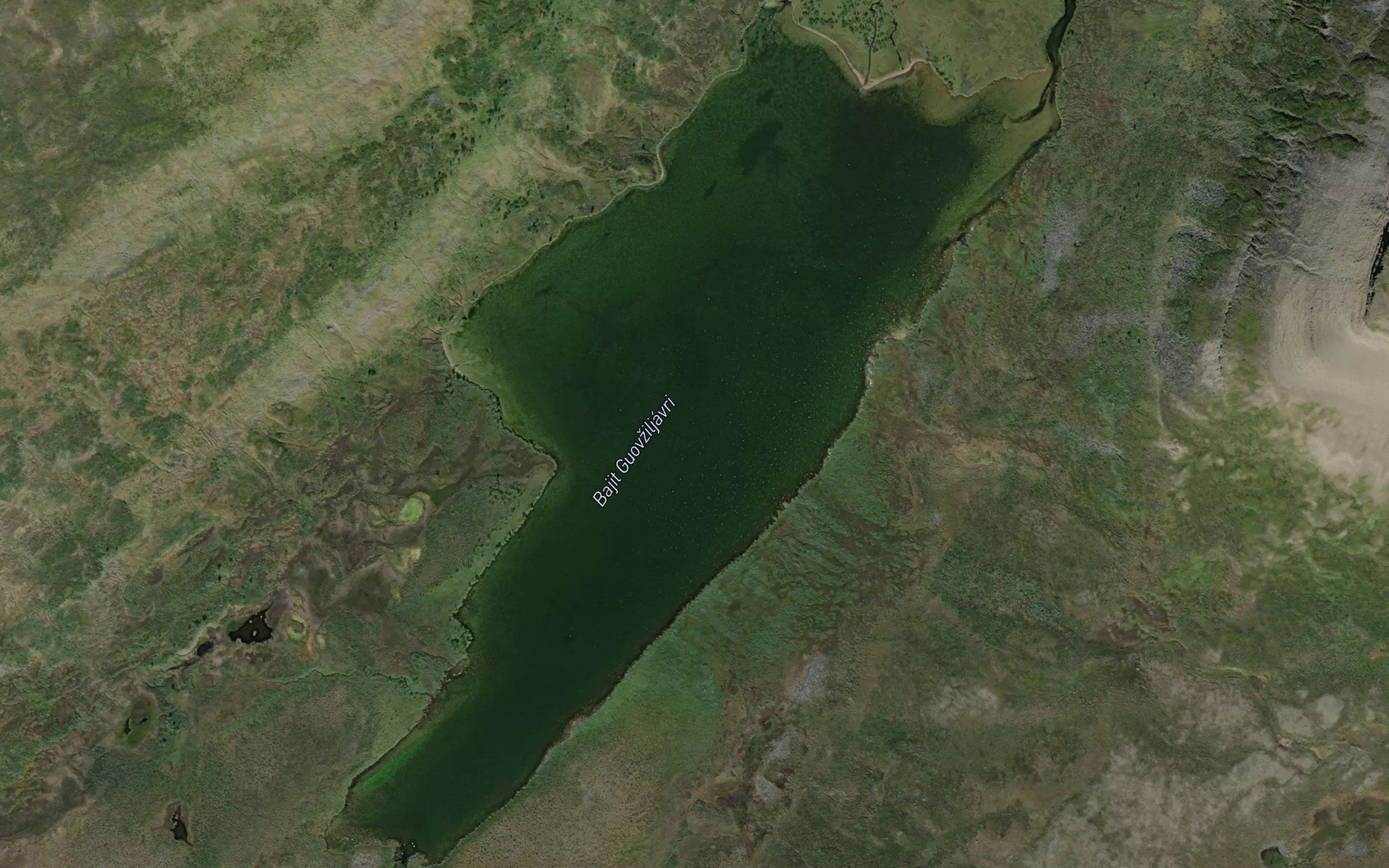 Guovniljavrit,bajit
