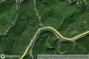 Briar Fork