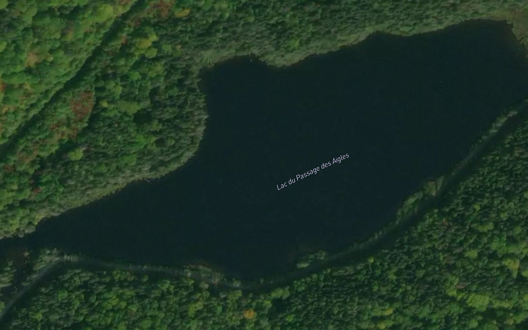 Satellite map of the Lac du Passage des Aigles