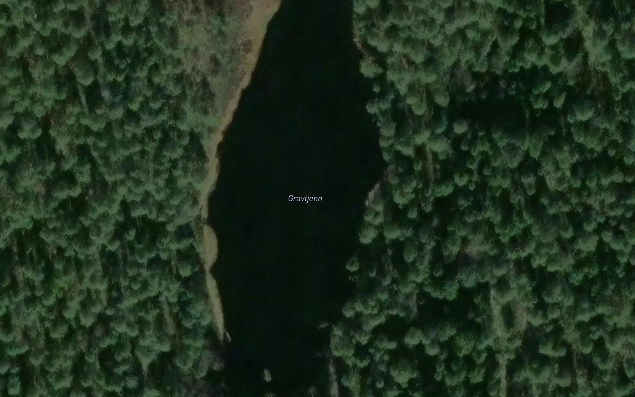 Gravtjern
