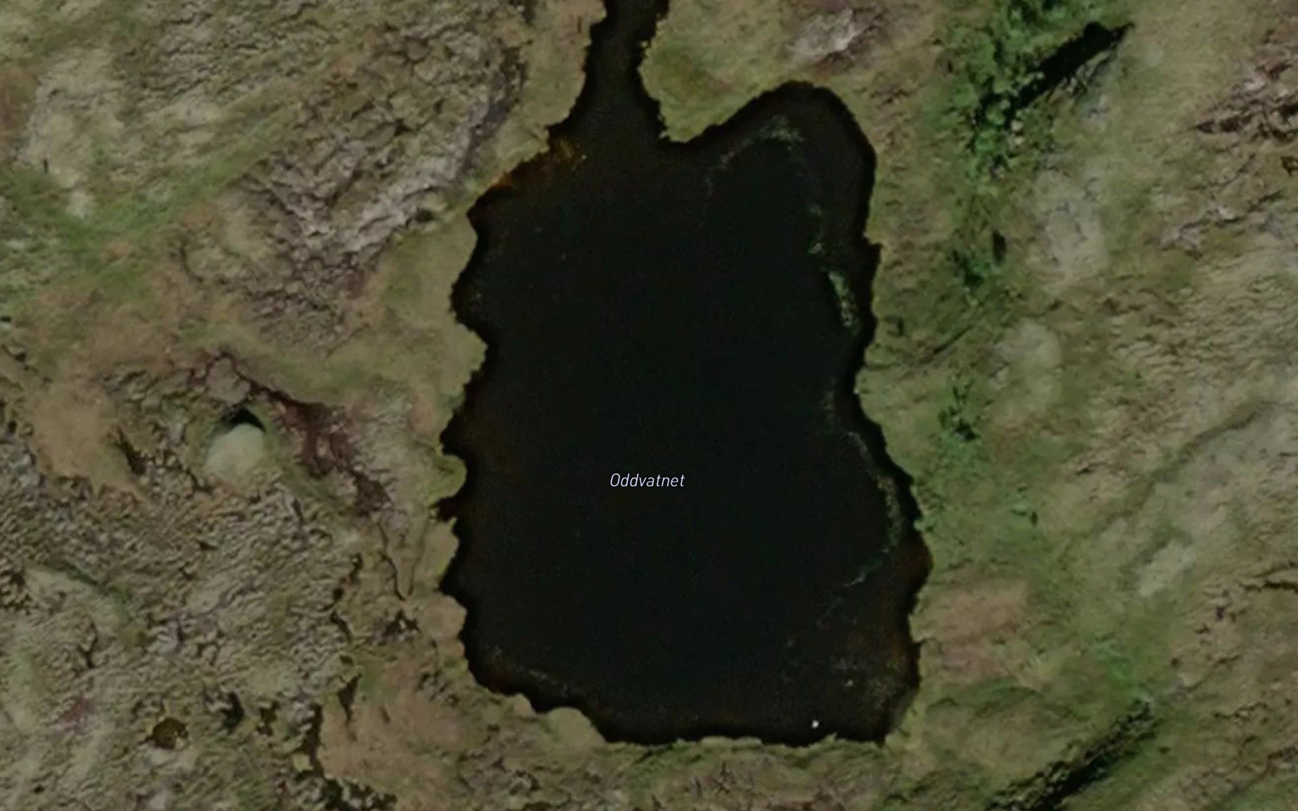 Oddvatnet