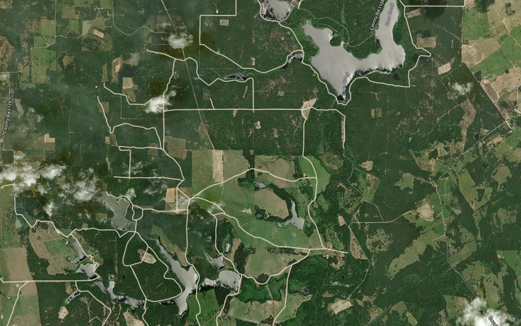 Satellite map of the Bass Haven Lake