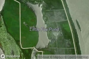 Fox Pond