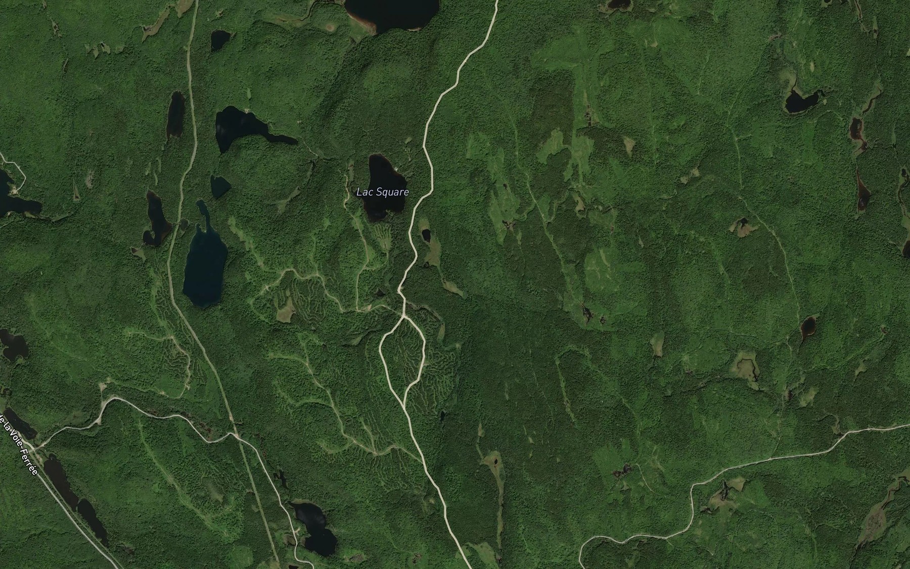 Satellite map of the Lac du Gorget
