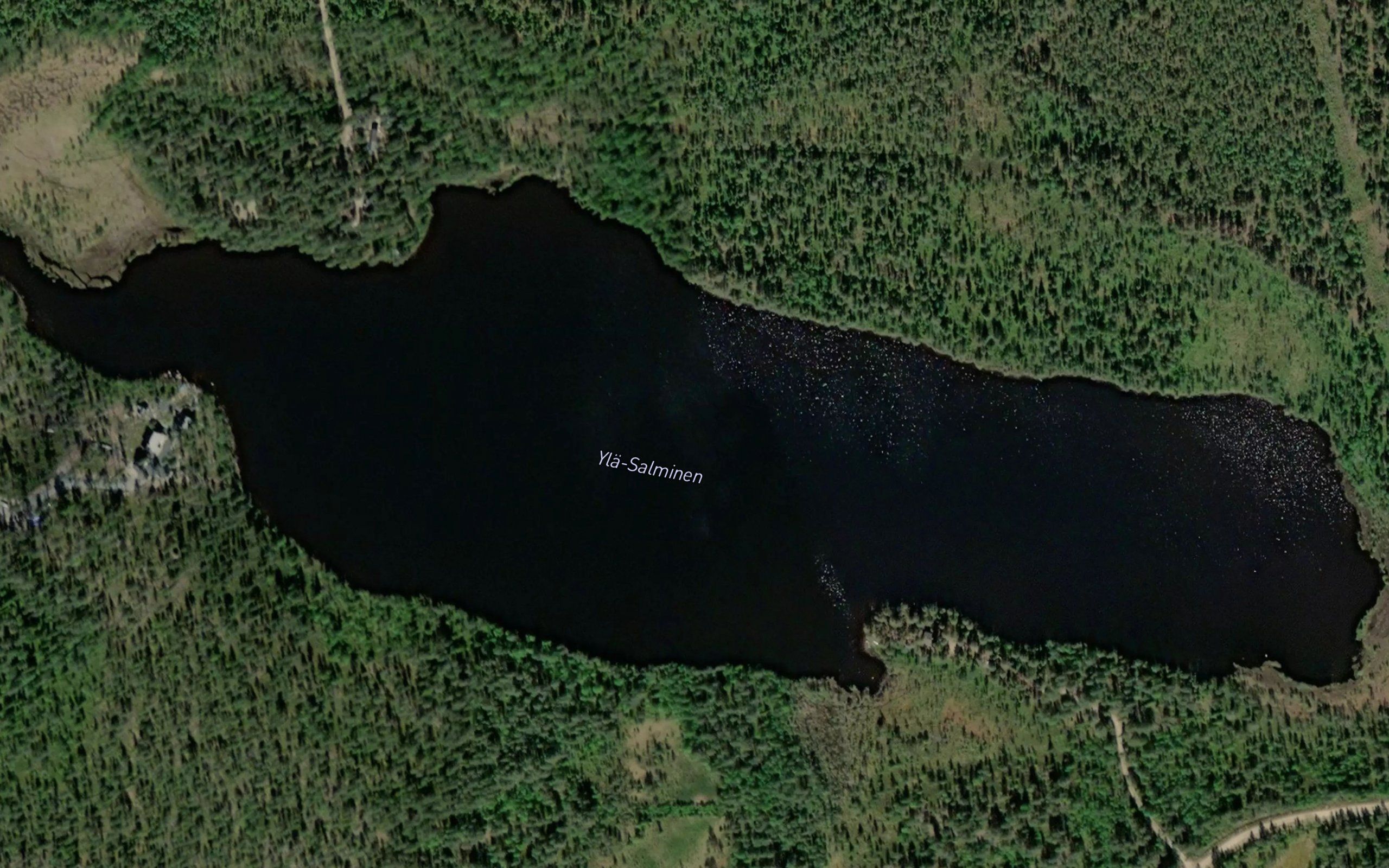 Yla-Salminen