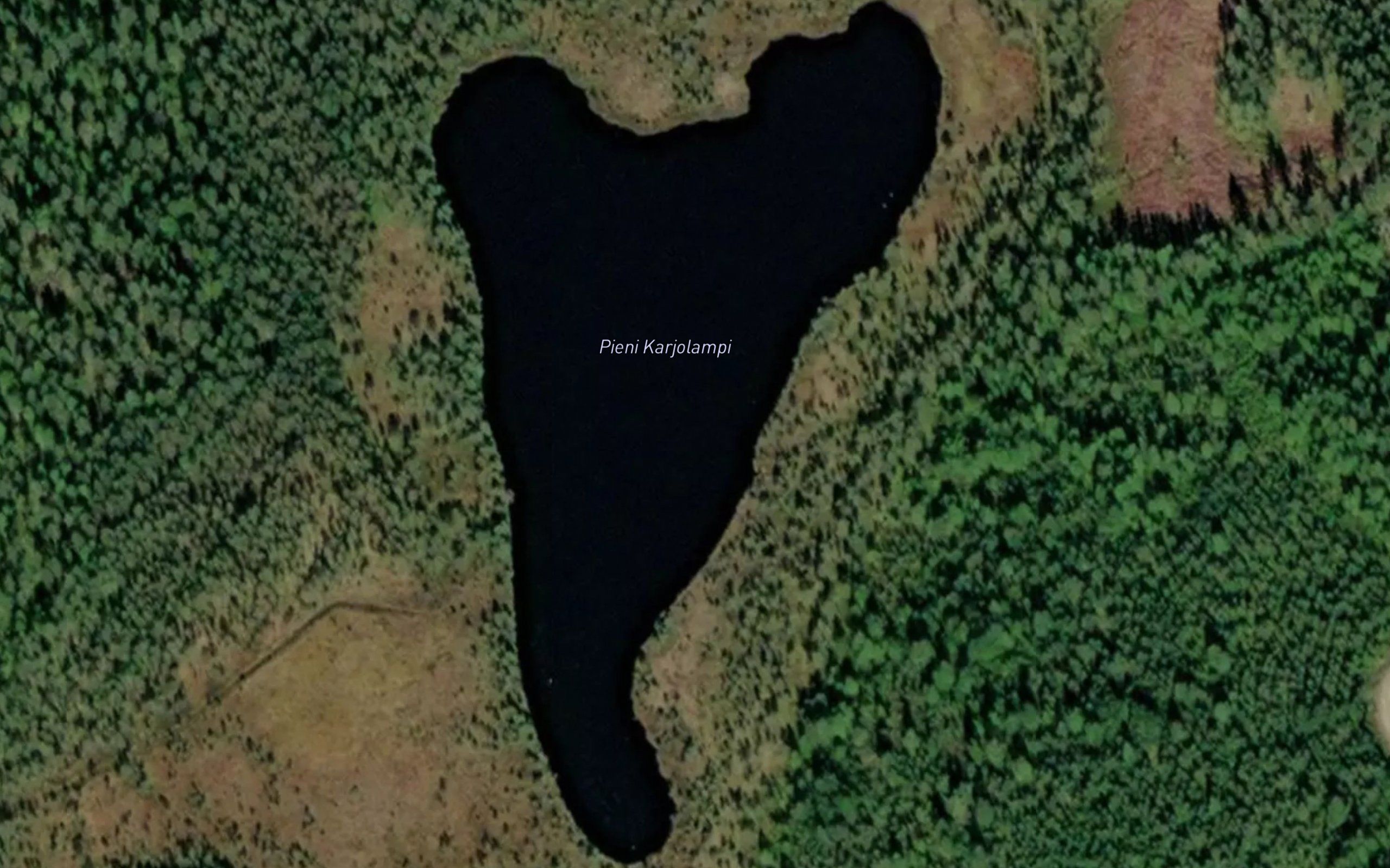 Pienet Karjolammit